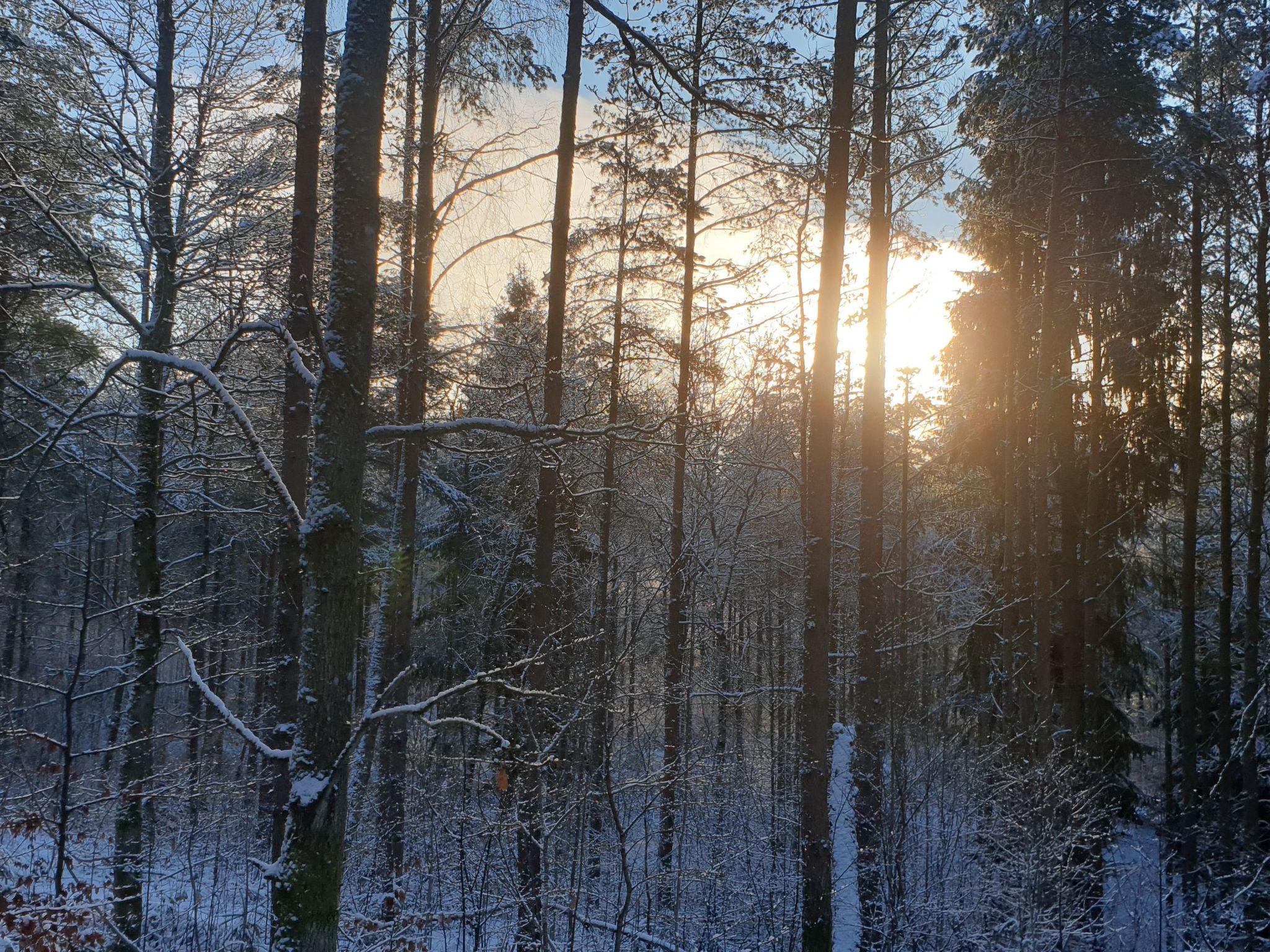 Mit Terrasse, Grill und Garten-Binnen
