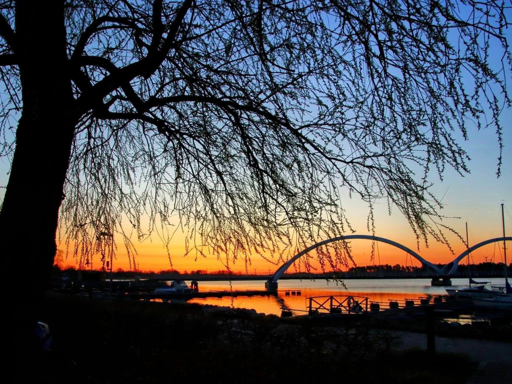 Sommarsol-Image-tags.info