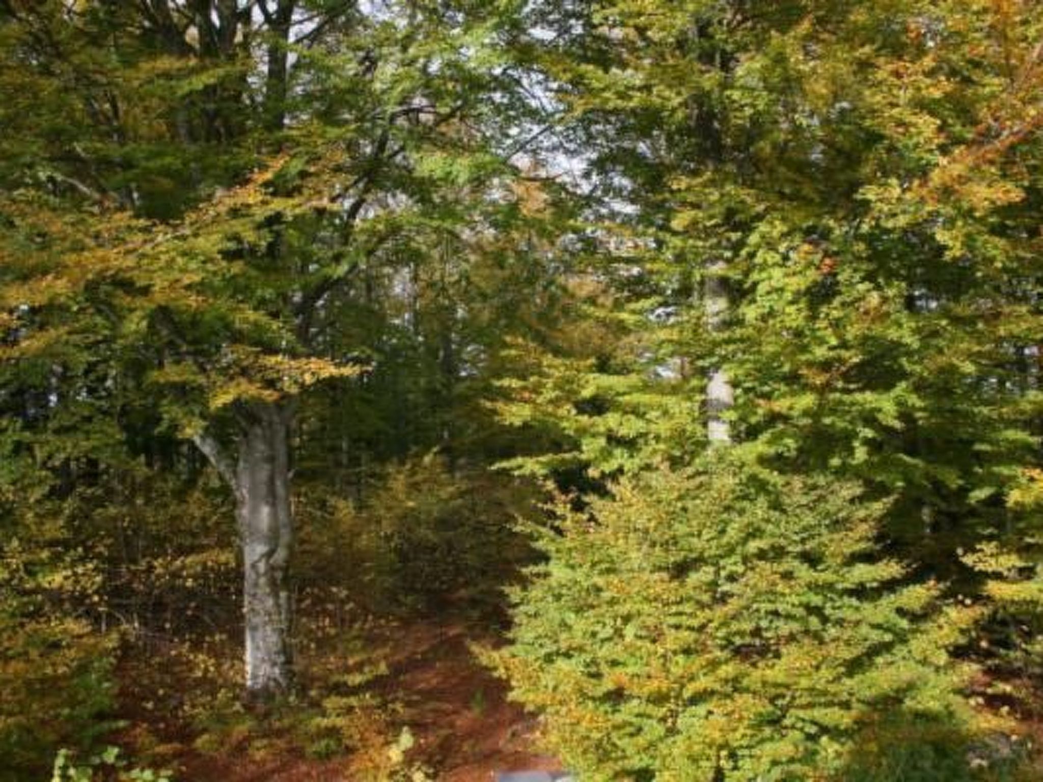 Wohnung Linné außerhalb von Älmhult-Binnen