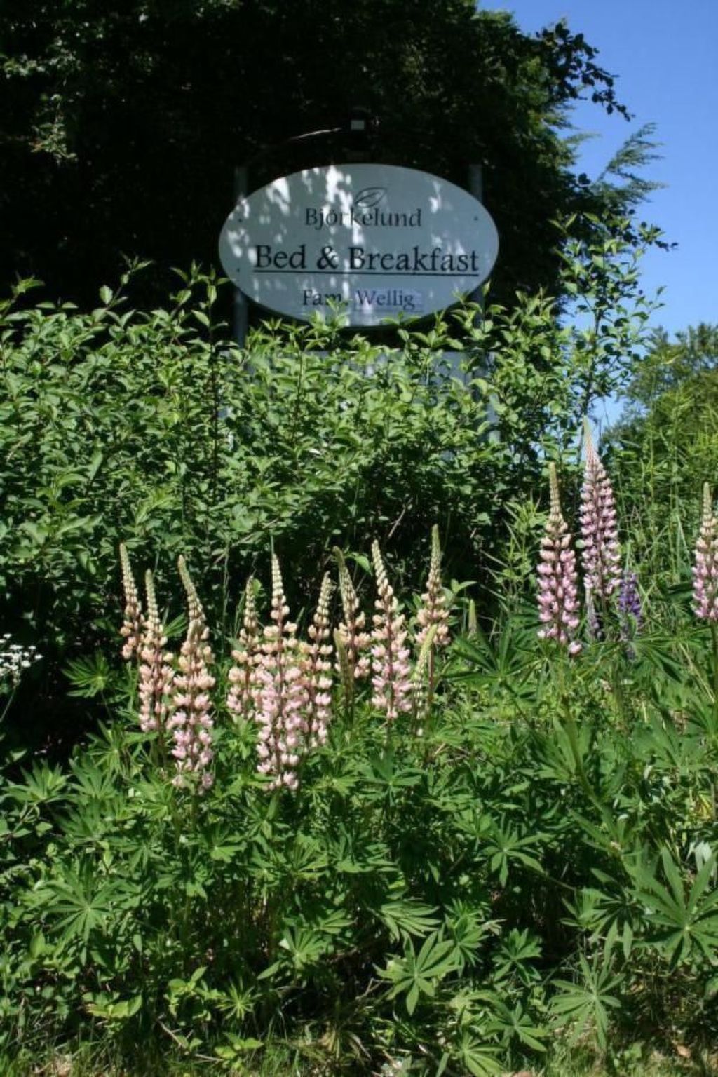Wohnung Linné außerhalb von Älmhult-Binnen