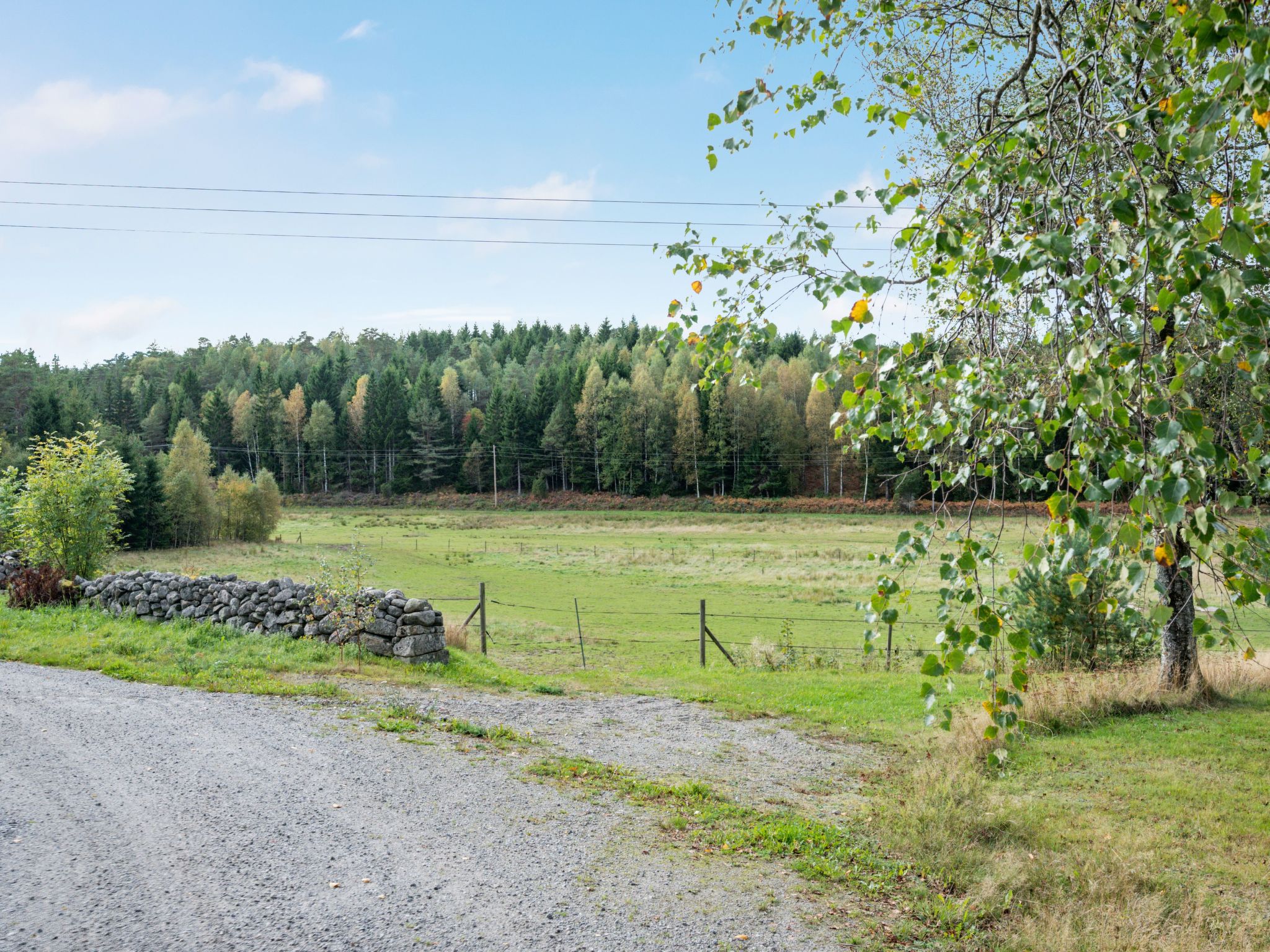 Backa Gård - Outside