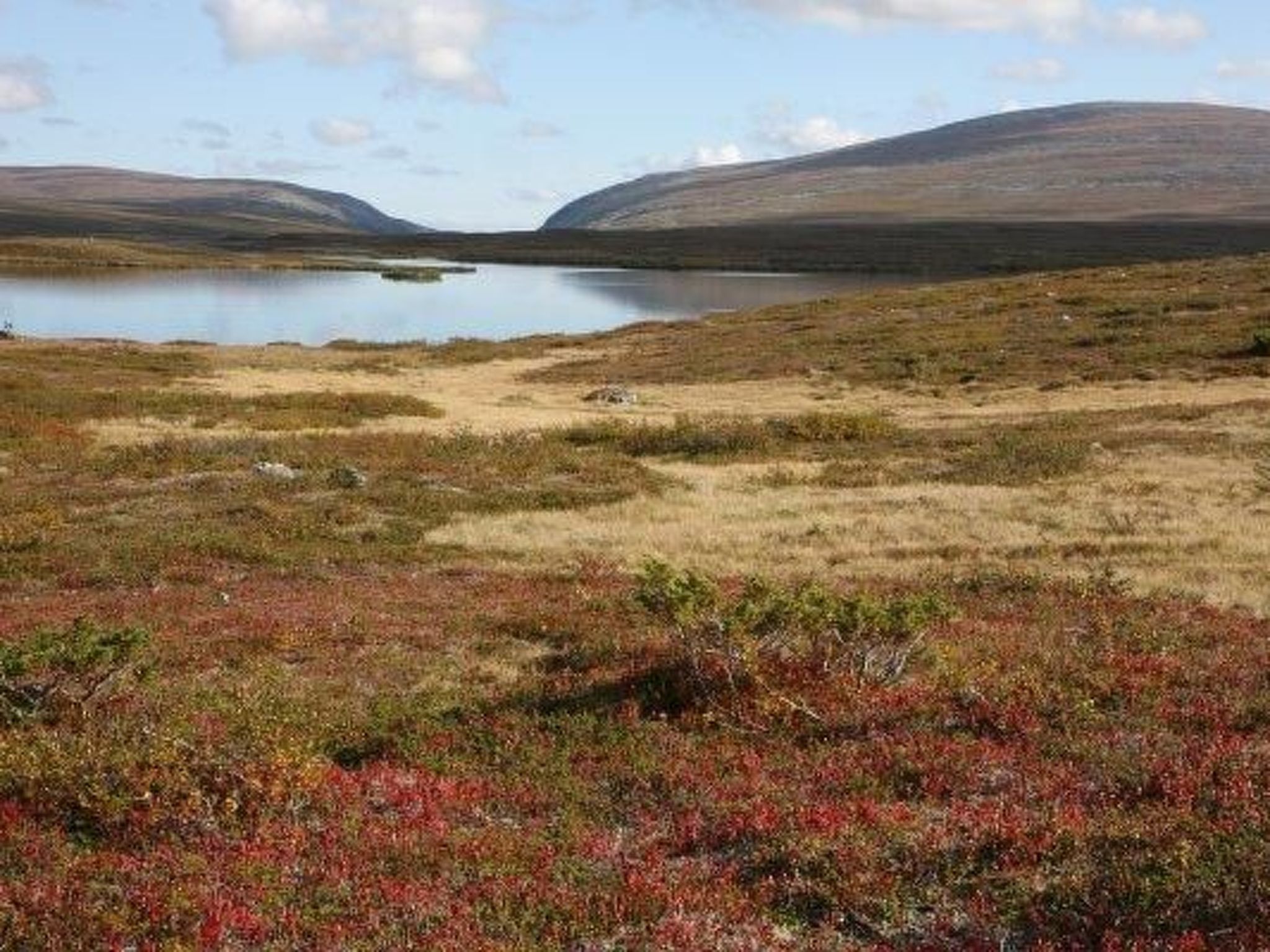 Charmantes Blockhaus, Sauna und Kamin-Binnen