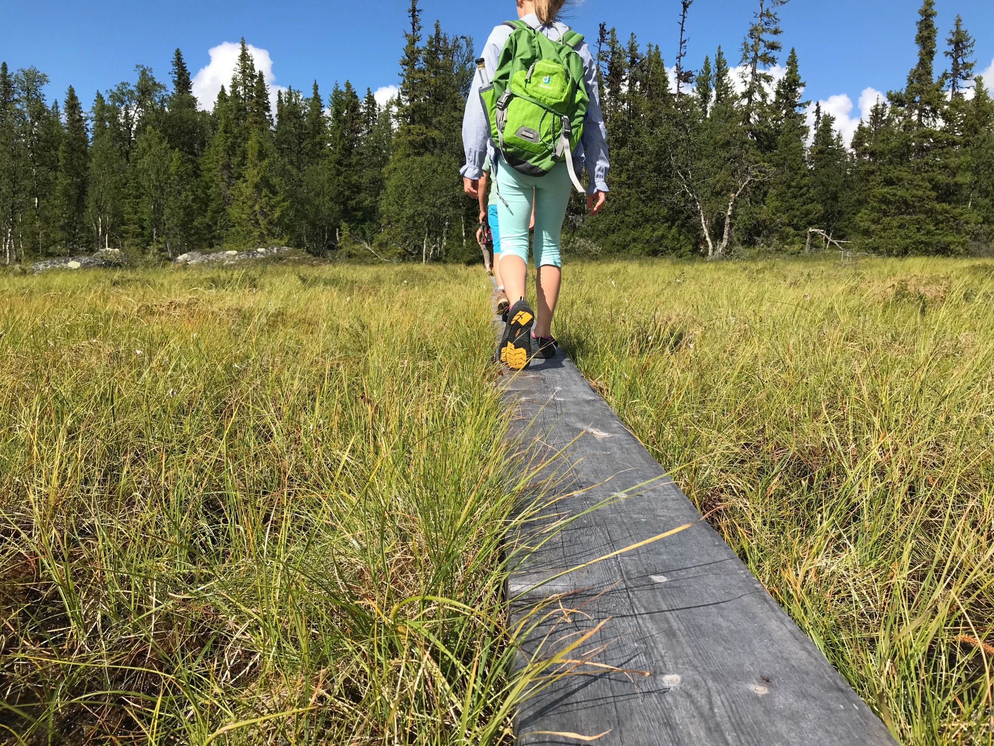 Charmantes Blockhaus, Sauna und Kamin-Binnen