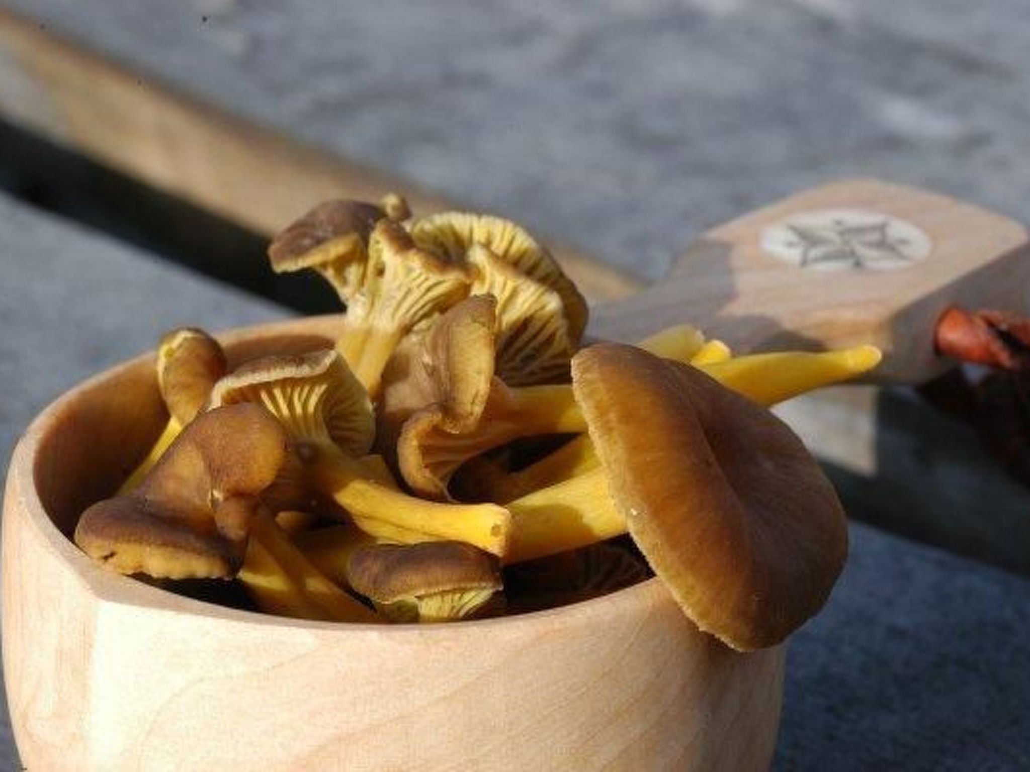 Charmantes Blockhaus, Sauna und Kamin-Binnen