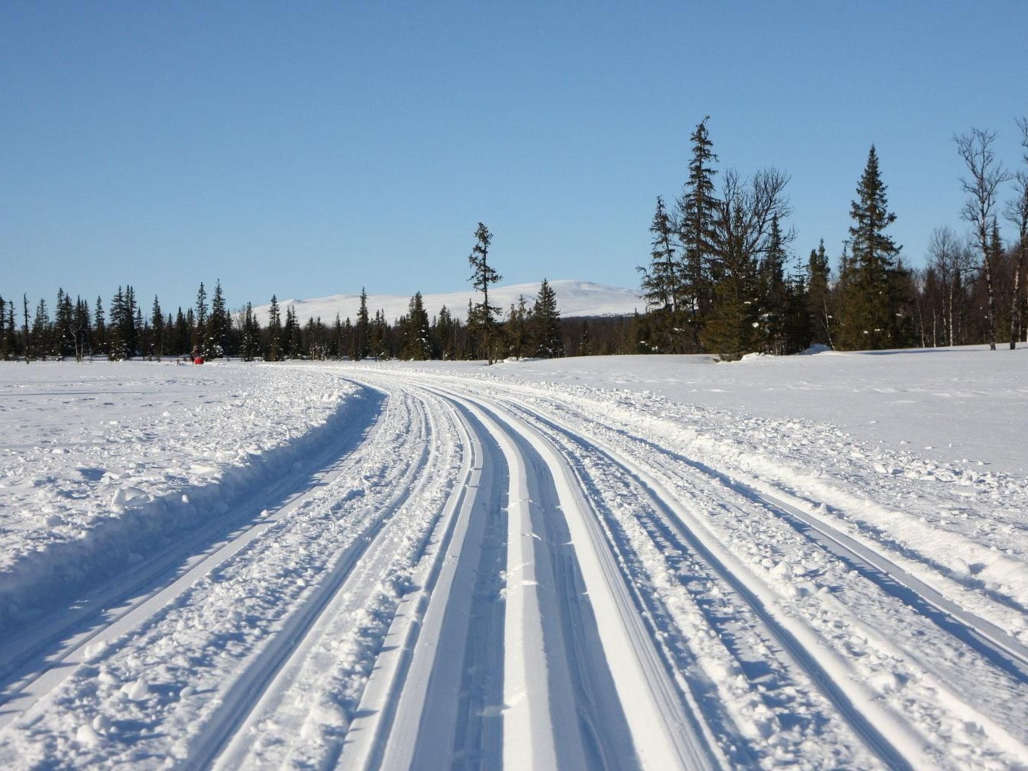Charmantes Blockhaus, Sauna und Kamin-Binnen
