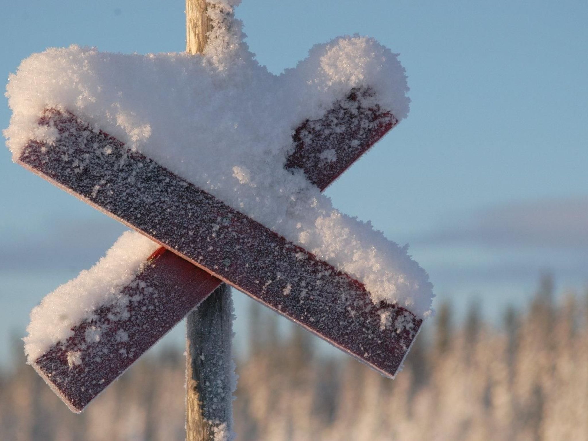 Charmantes Blockhaus, Sauna und Kamin-Binnen
