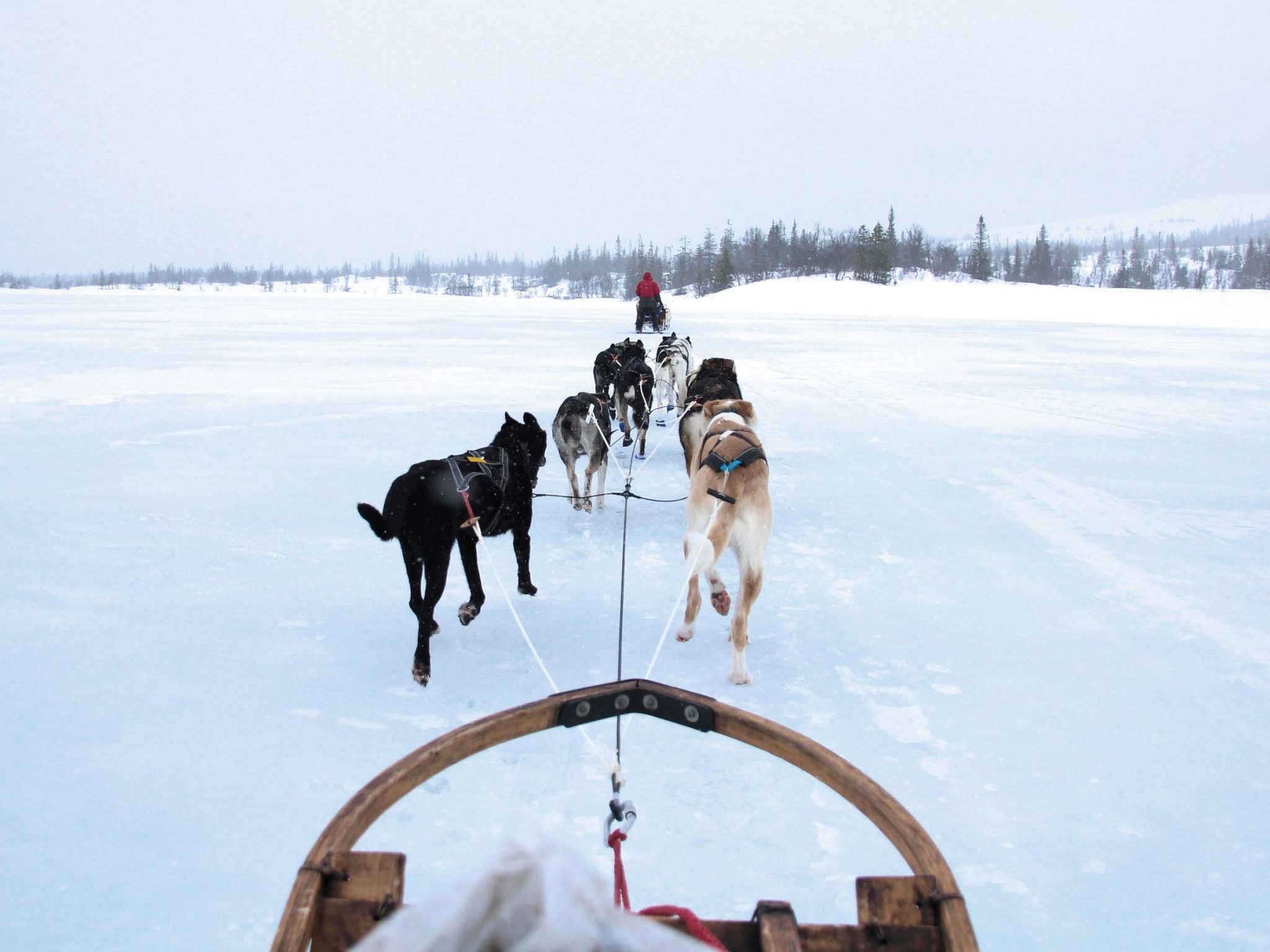 Charmantes Blockhaus, Sauna und Kamin-Binnen