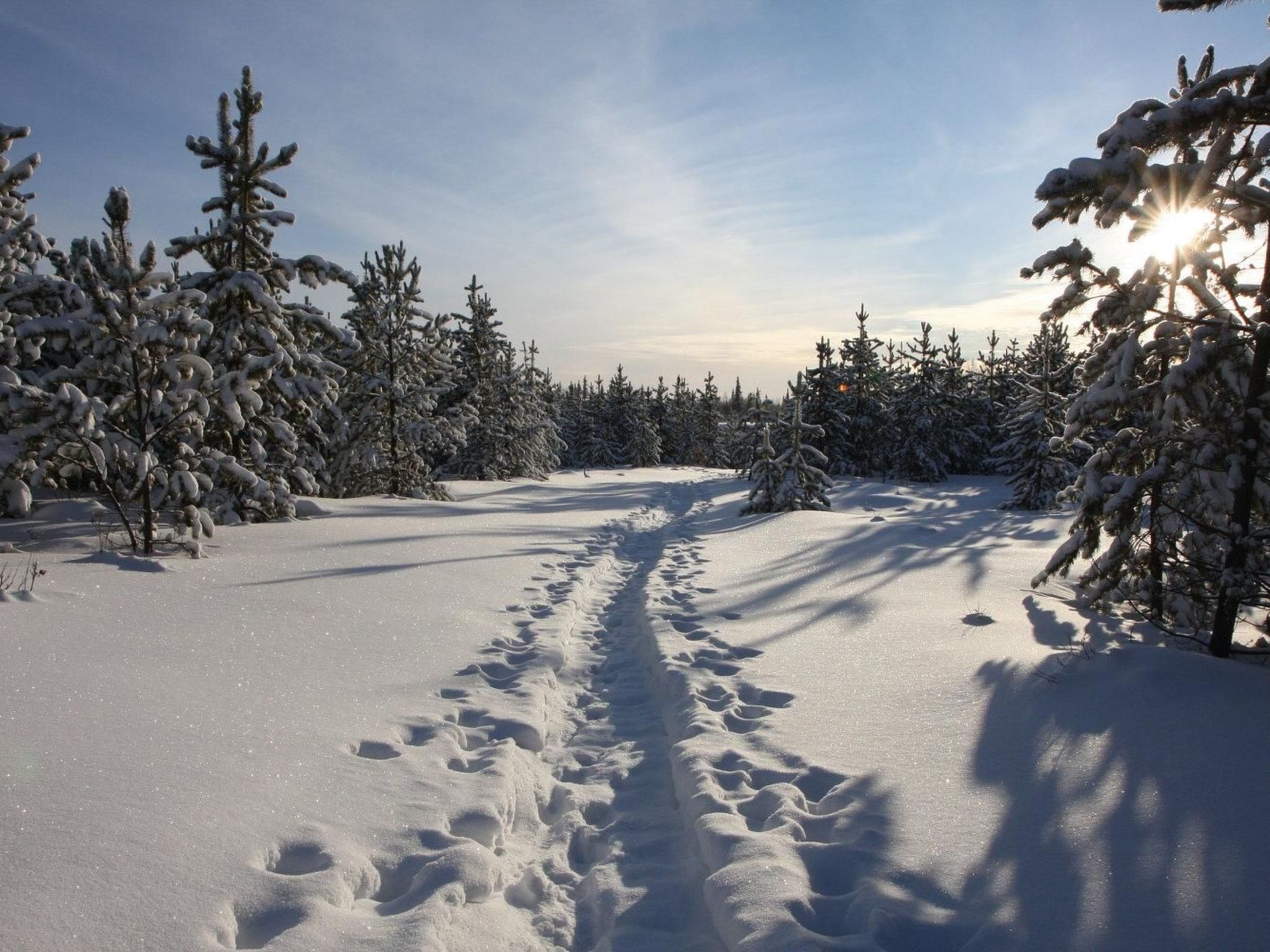 Charmantes Blockhaus, Sauna und Kamin