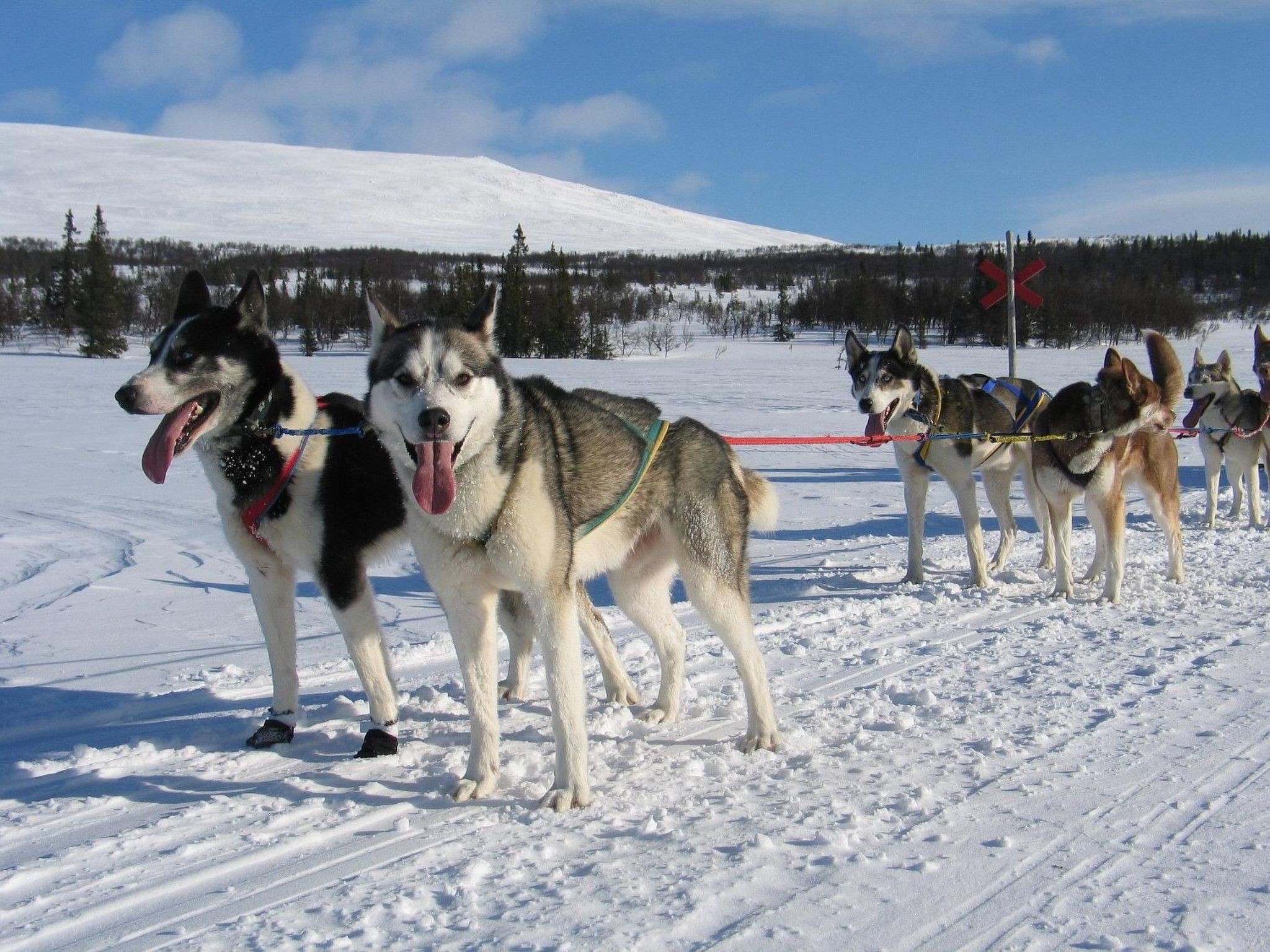 Charmantes Blockhaus, Sauna und Kamin