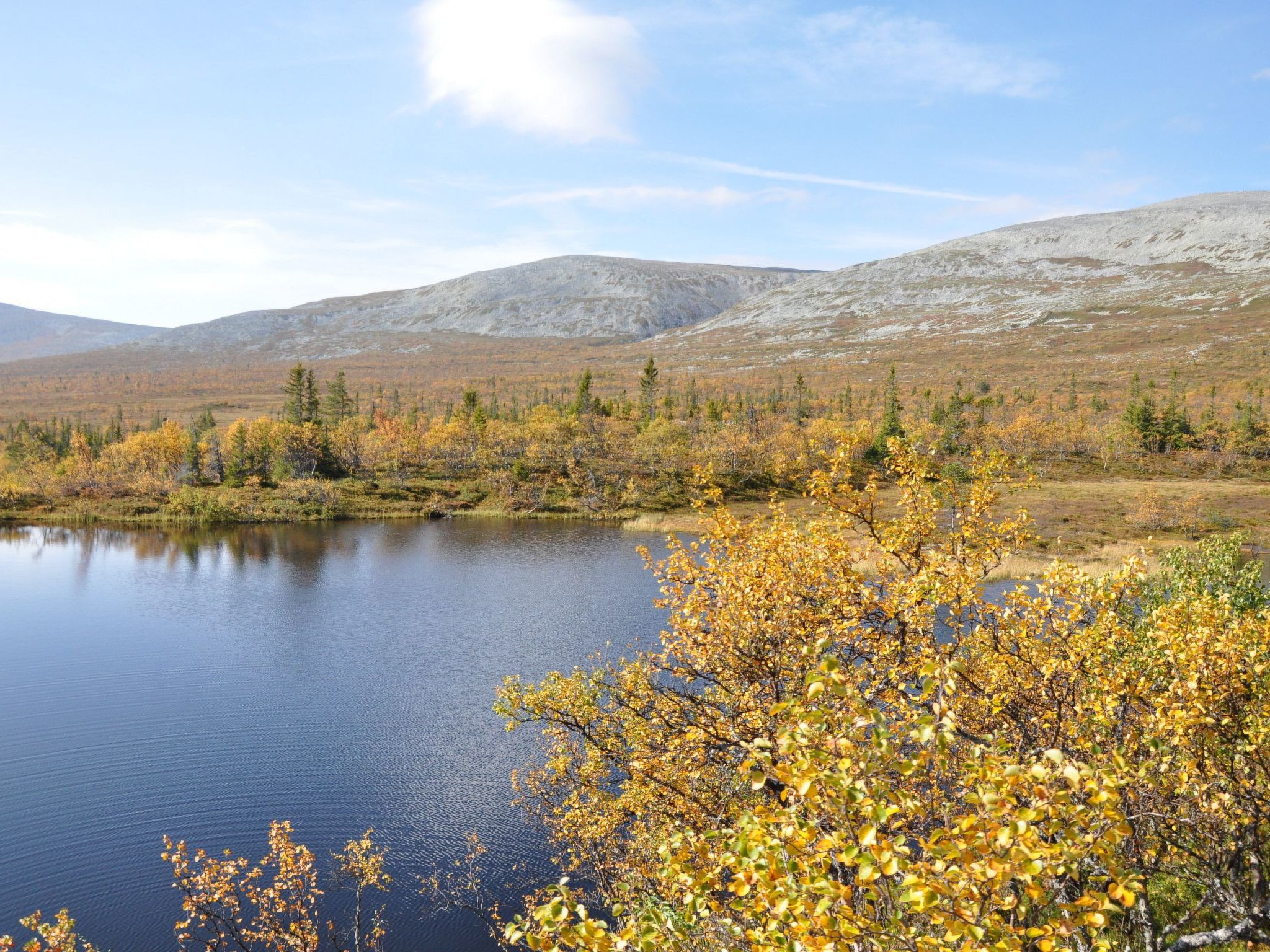 Charmantes modernes Blockhaus mit Kamin