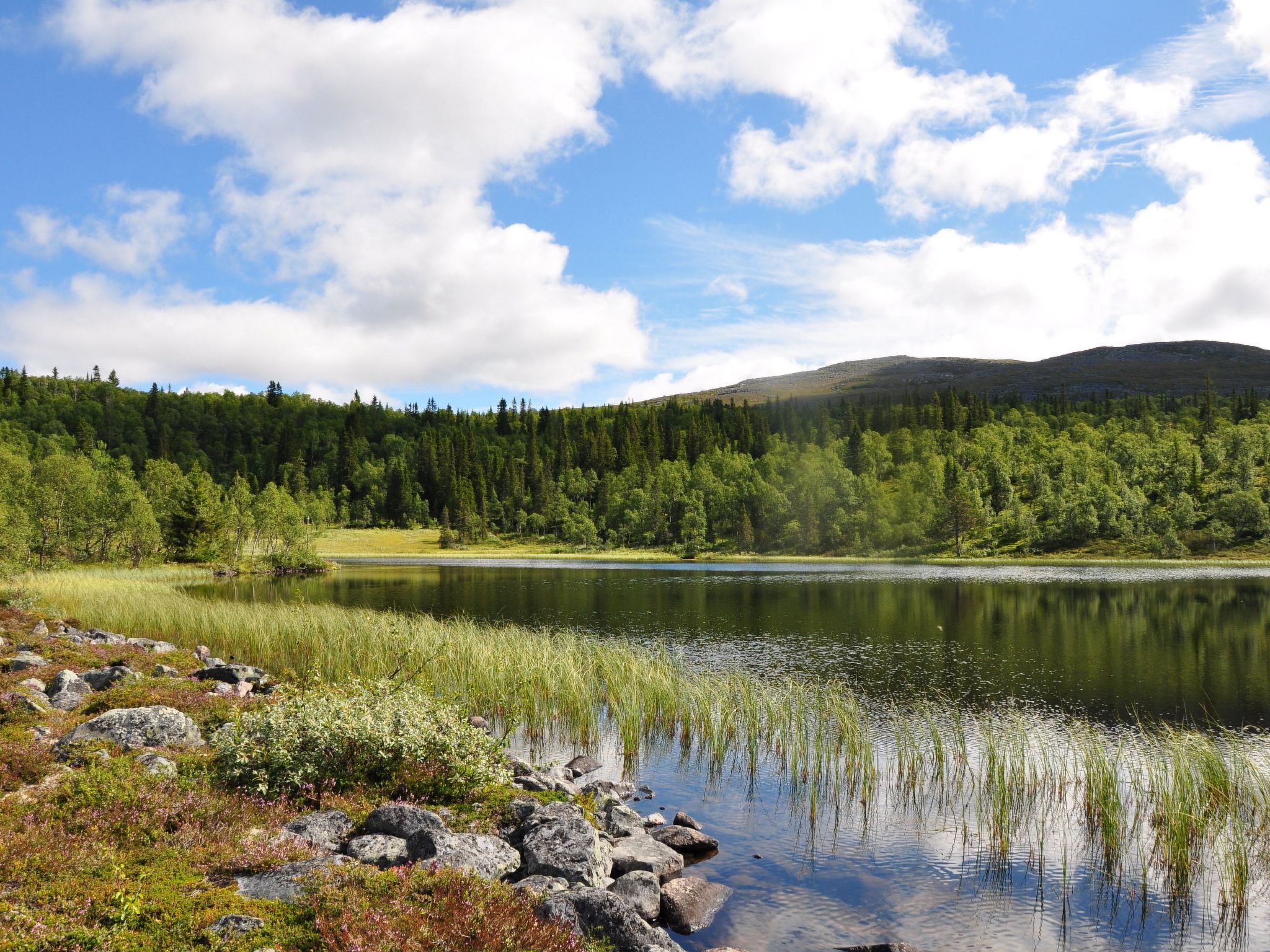 Charmantes modernes Blockhaus mit Kamin-Binnen
