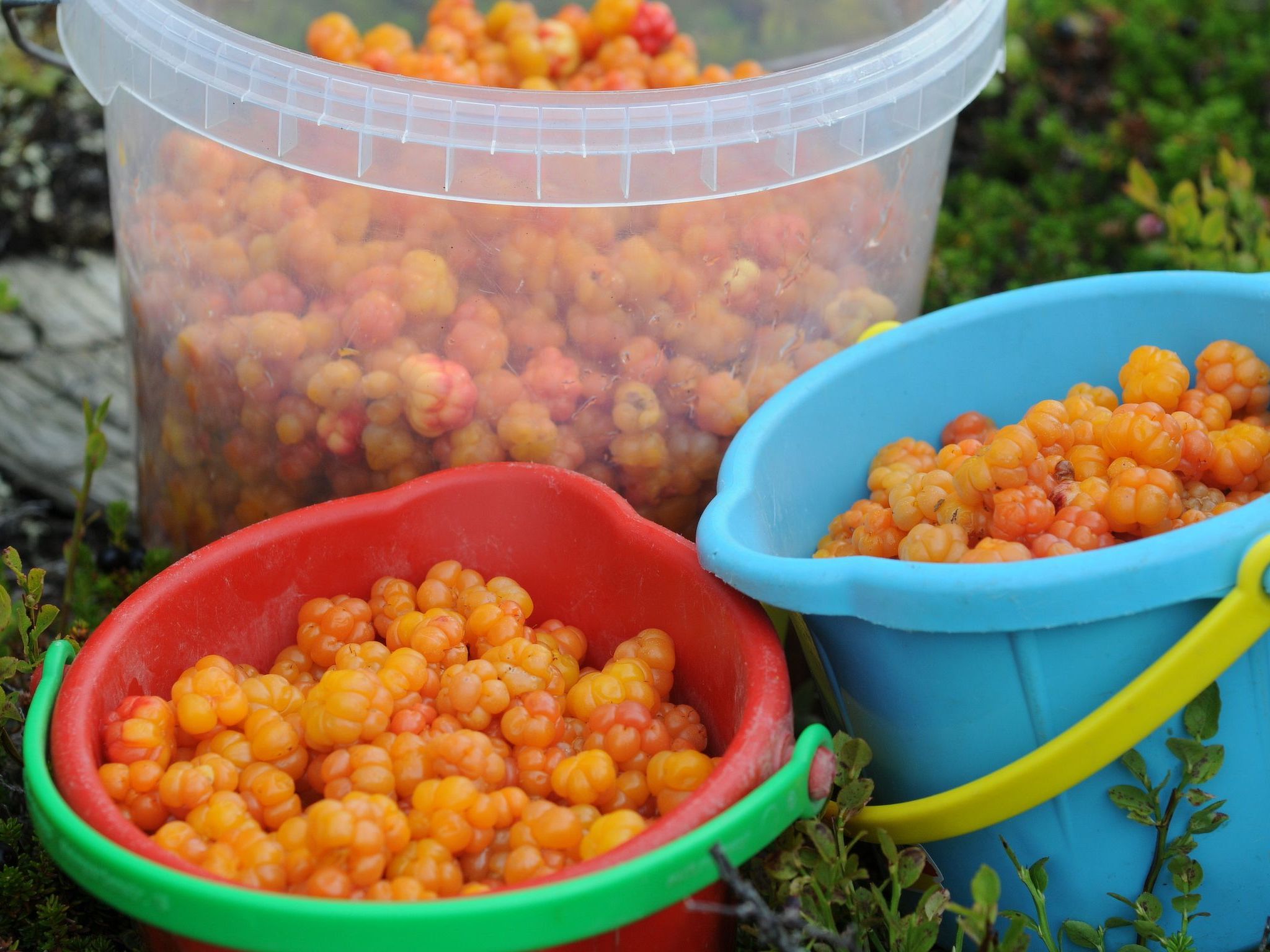 Charmantes modernes Blockhaus mit Kamin-Binnen