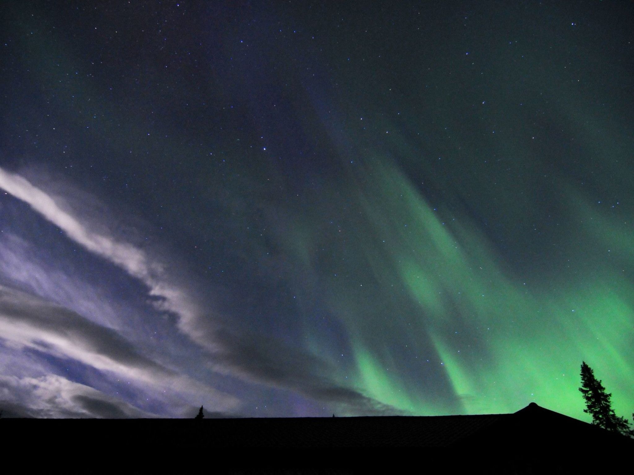 Charmantes modernes Blockhaus mit Kamin-Binnen