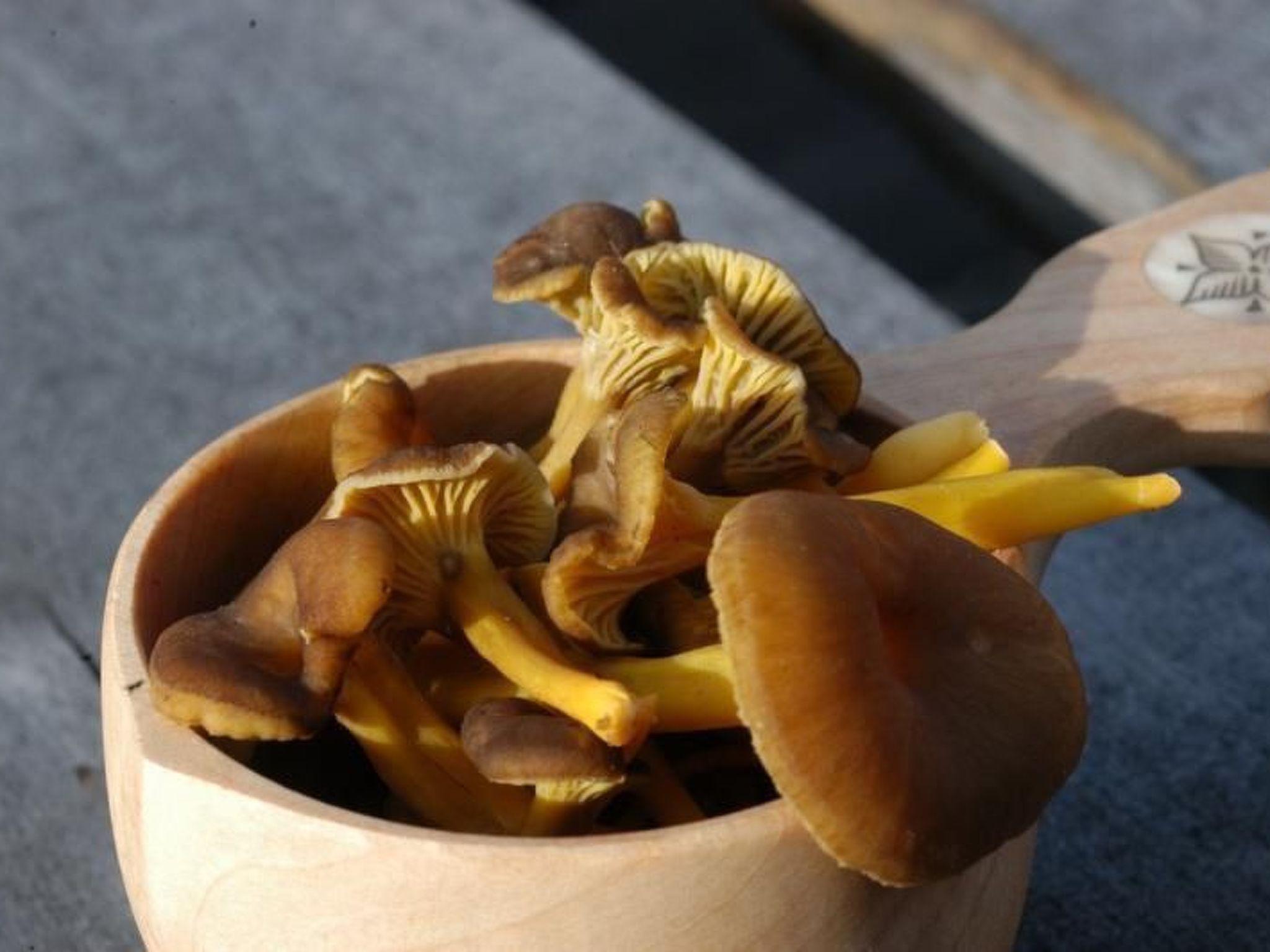 Gemütliches Blockhaus mit Kamin im Oviksfjäll-Binnen