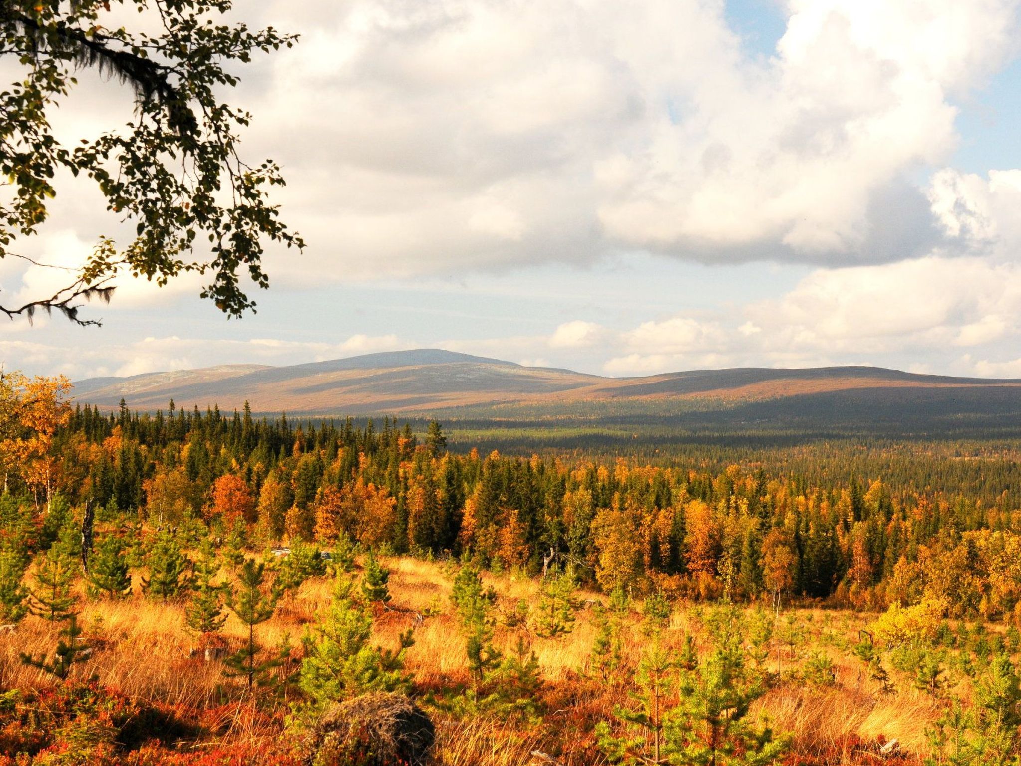 Gemütliches Blockhaus mit Kamin im Oviksfjäll-Binnen