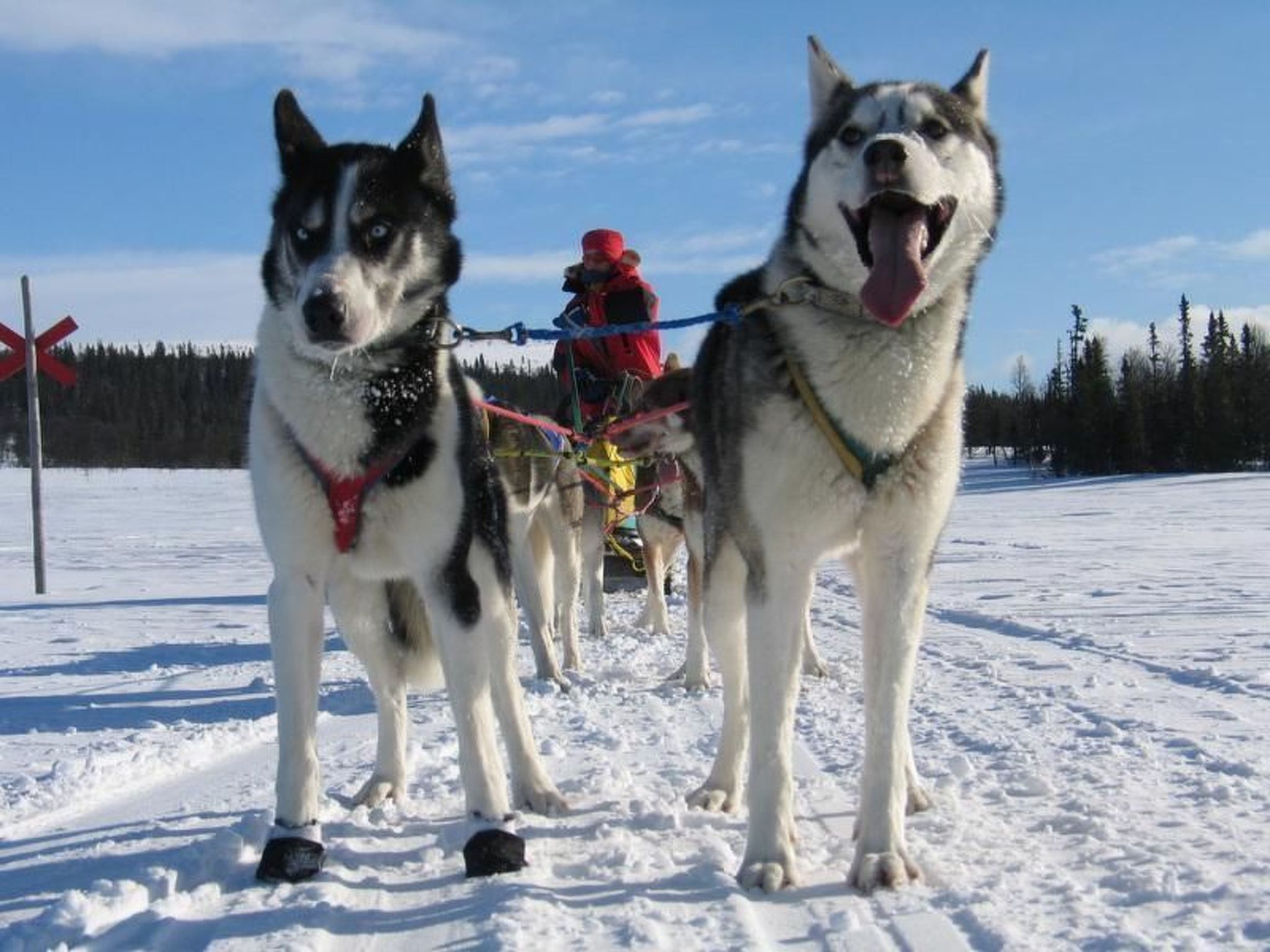 Gemütliches Blockhaus mit Kamin im Oviksfjäll-Binnen