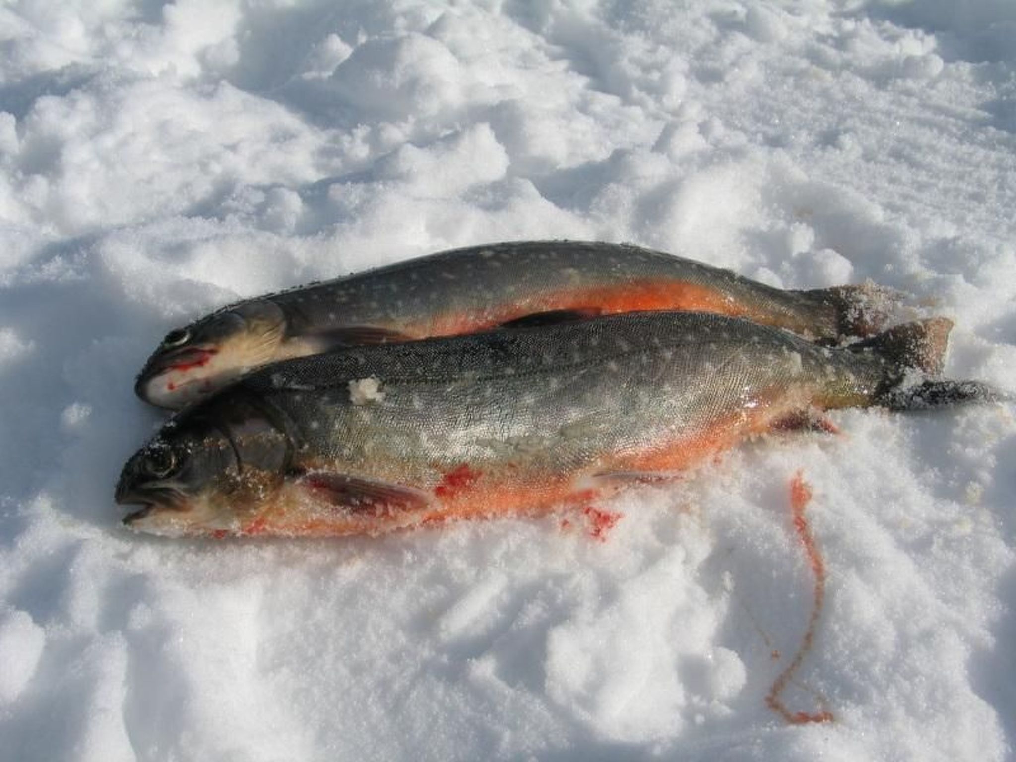 Gemütliches Blockhaus mit Kamin im Oviksfjäll-Binnen