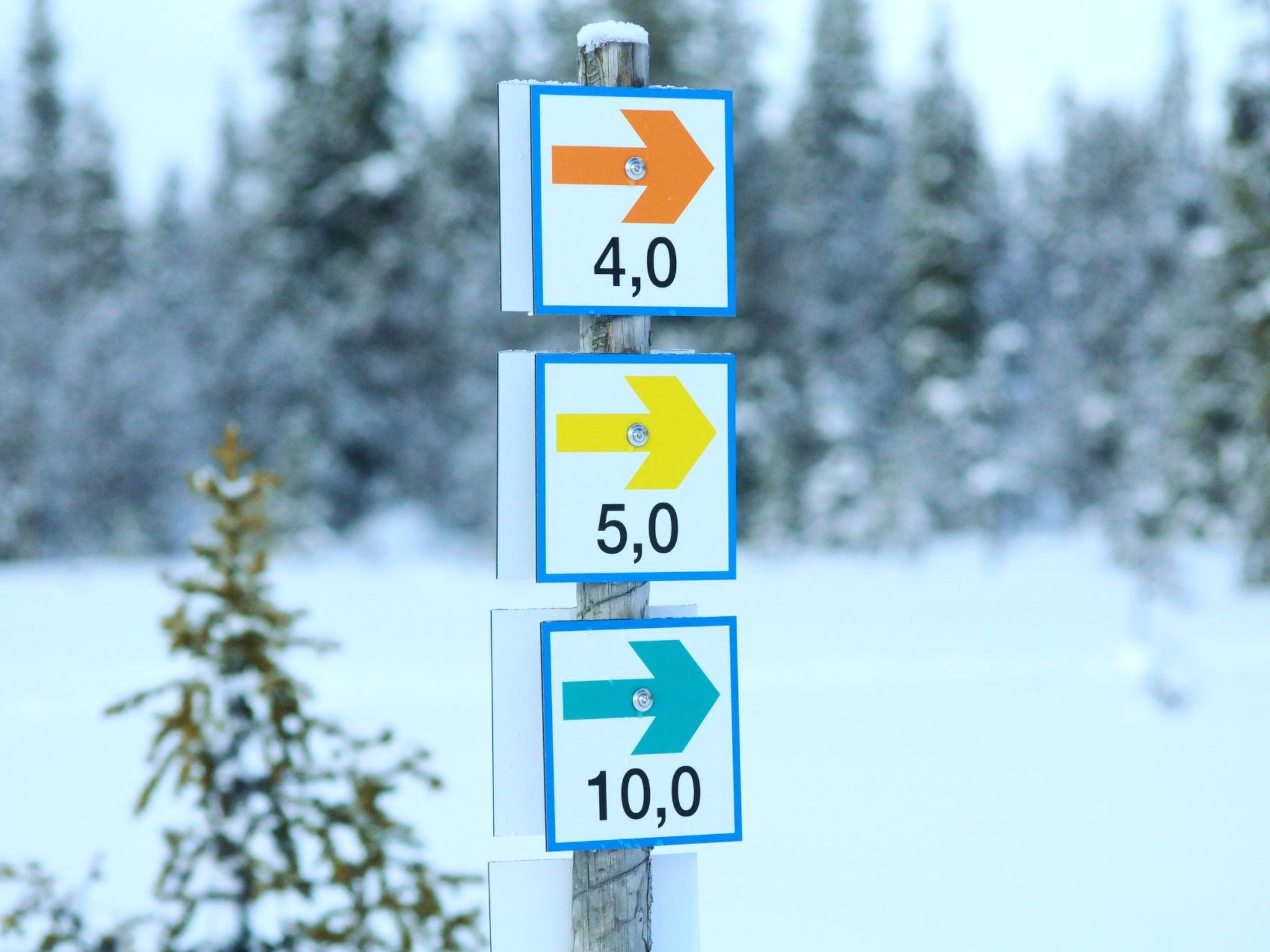 Gemütliches Blockhaus mit Kamin im Oviksfjäll-Binnen