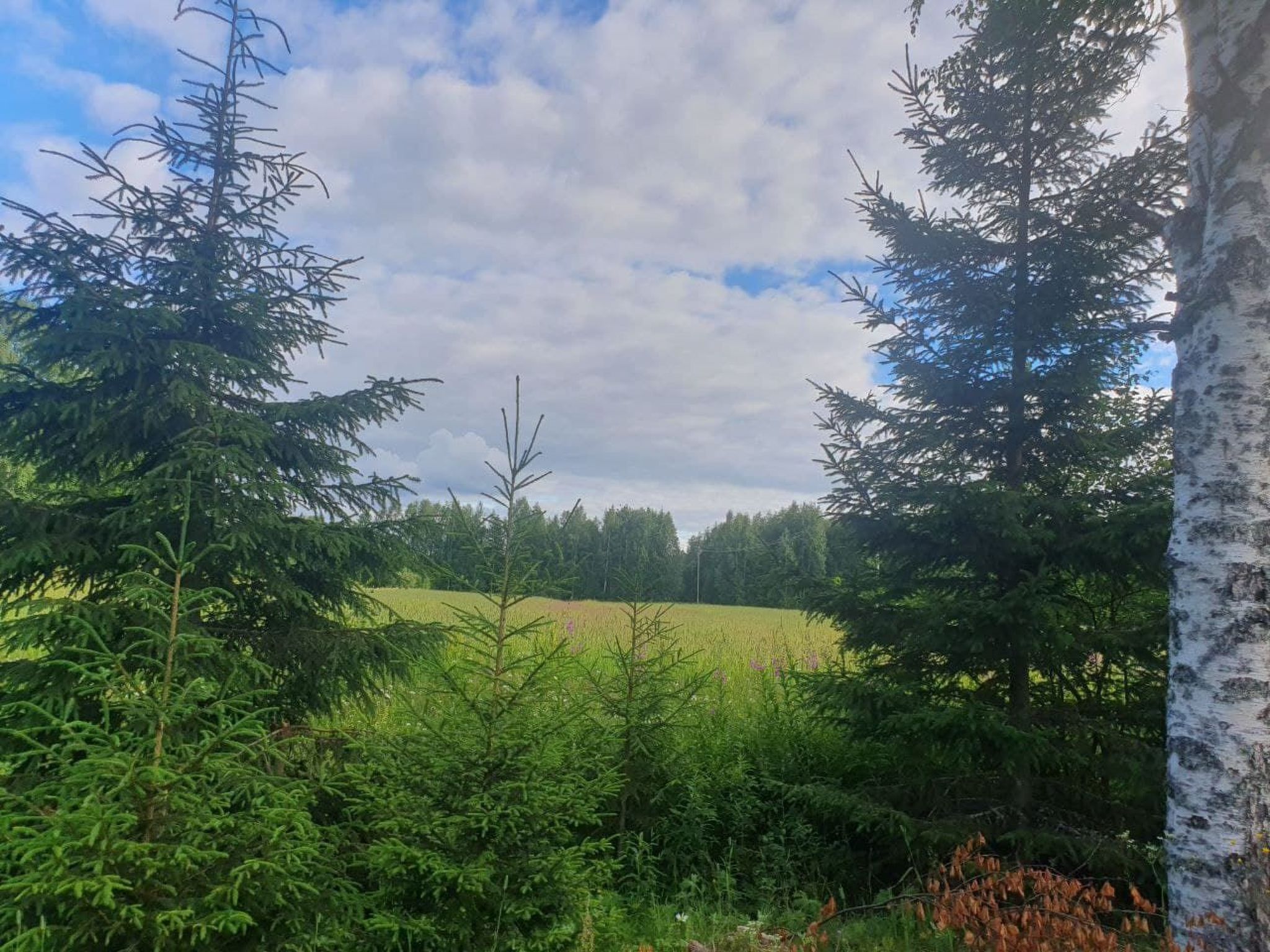 Gemütliches Ferienhaus Angermanland - höga Kusten-Image-tags.info