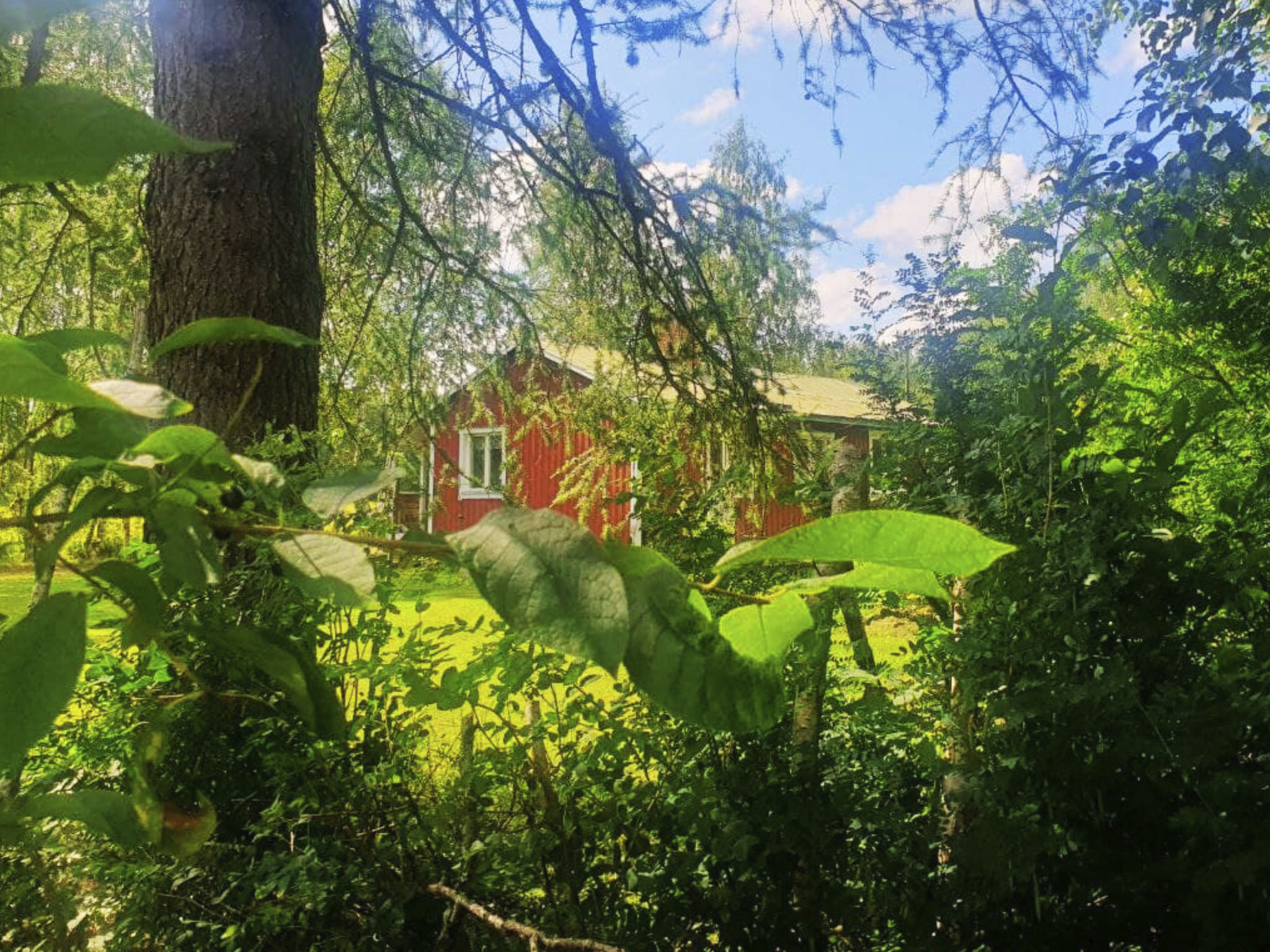 Gemütliches Ferienhaus Angermanland - höga Kusten-Image-tags.info