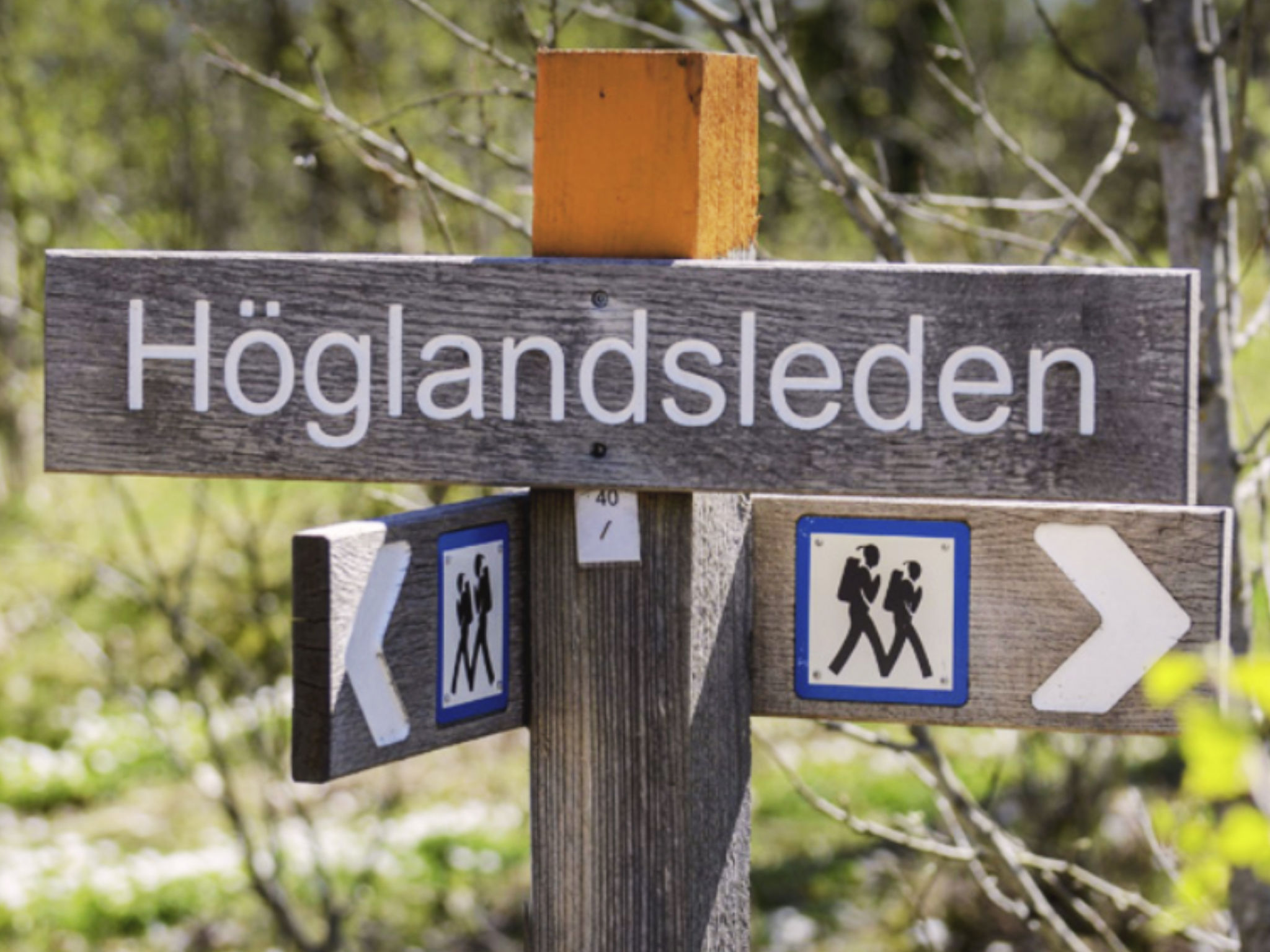 Gemütliches Ferienhaus Angermanland - höga Kusten-Image-tags.info