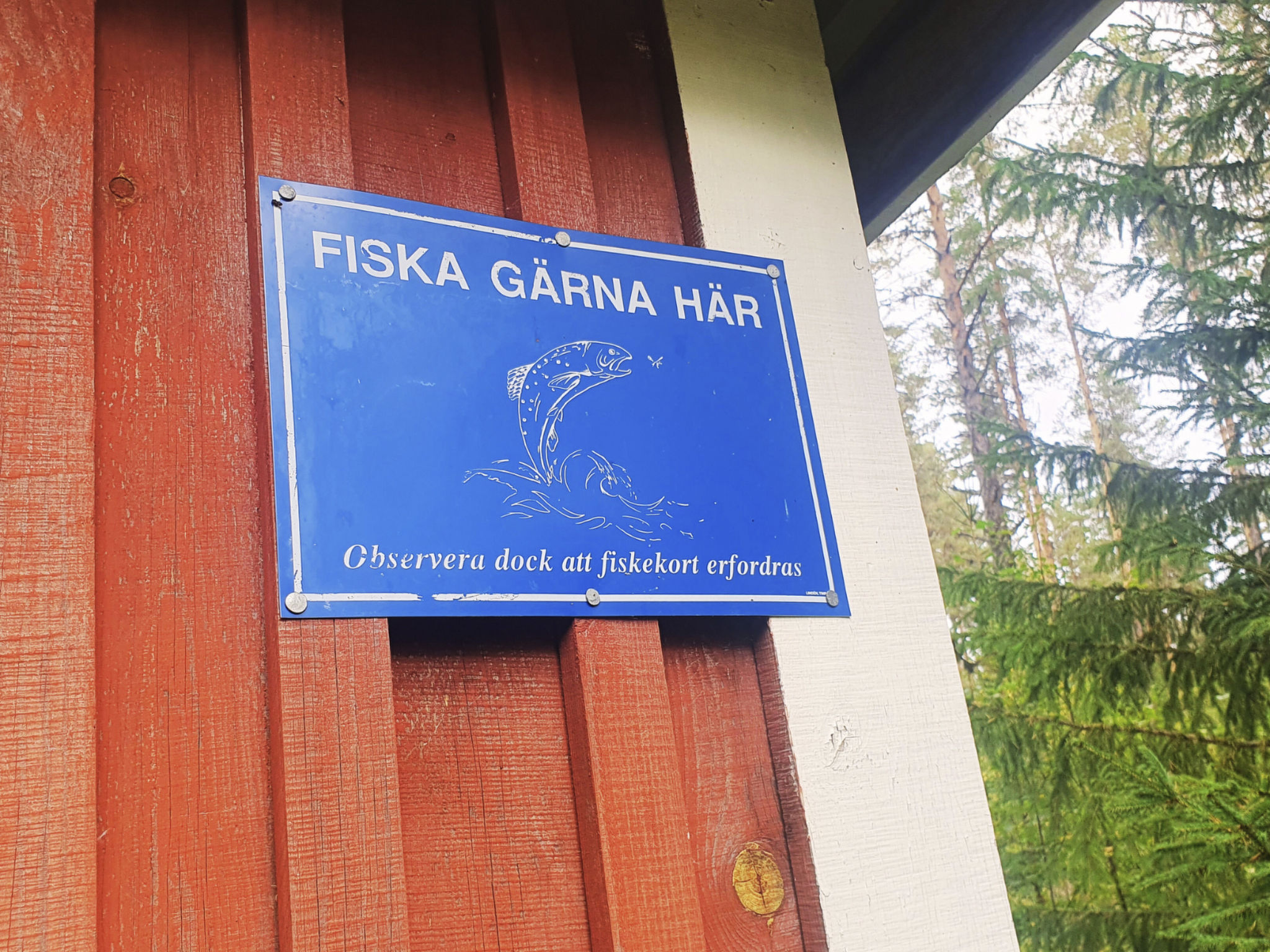 Gemütliches Ferienhaus Angermanland - höga Kusten-Image-tags.info