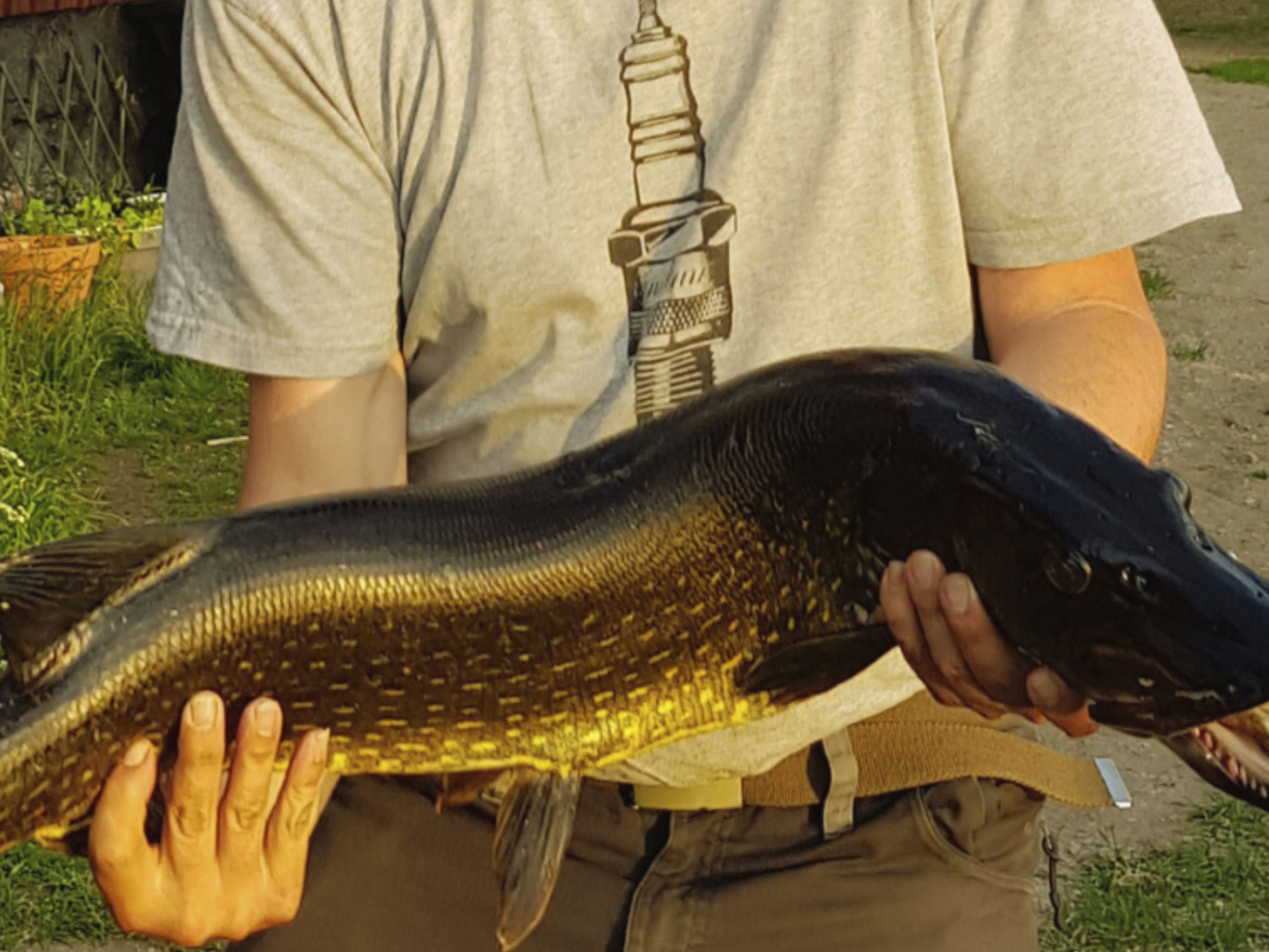 Gemütliches Ferienhaus Angermanland - höga Kusten-Image-tags.info