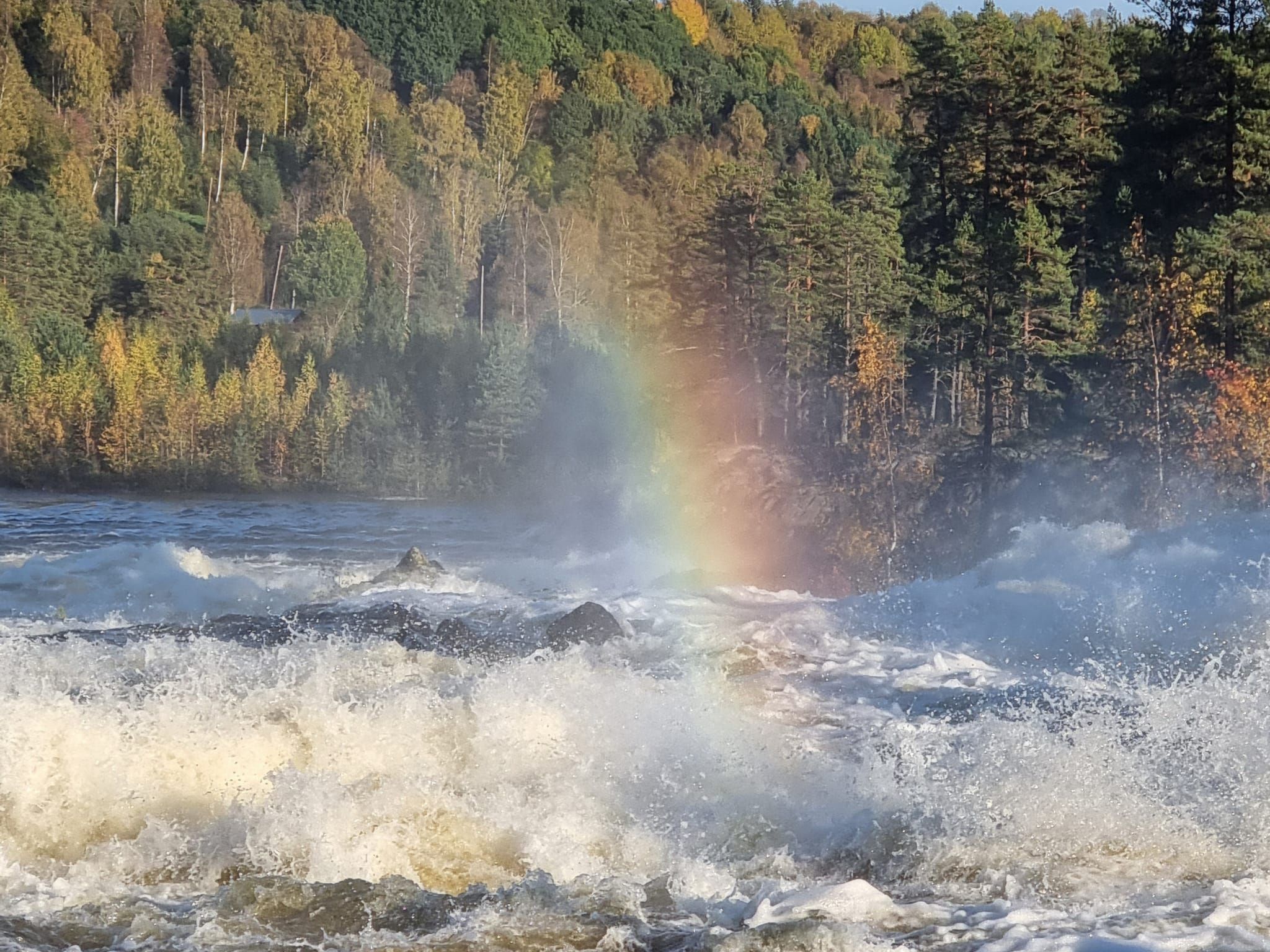Gemütliches Ferienhaus Angermanland - höga Kusten-Image-tags.info
