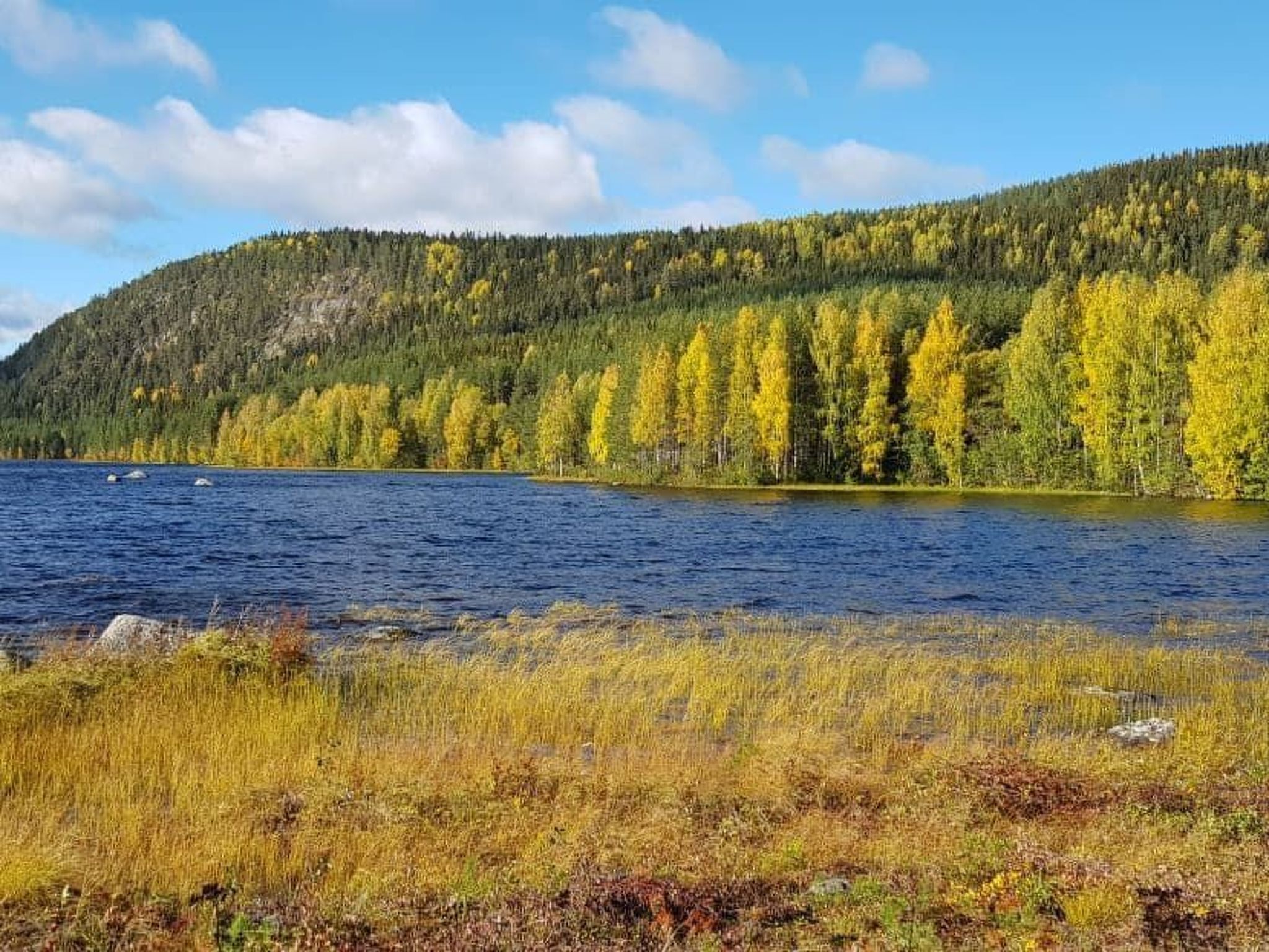 Gemütliches Ferienhaus Angermanland - höga Kusten-Image-tags.info