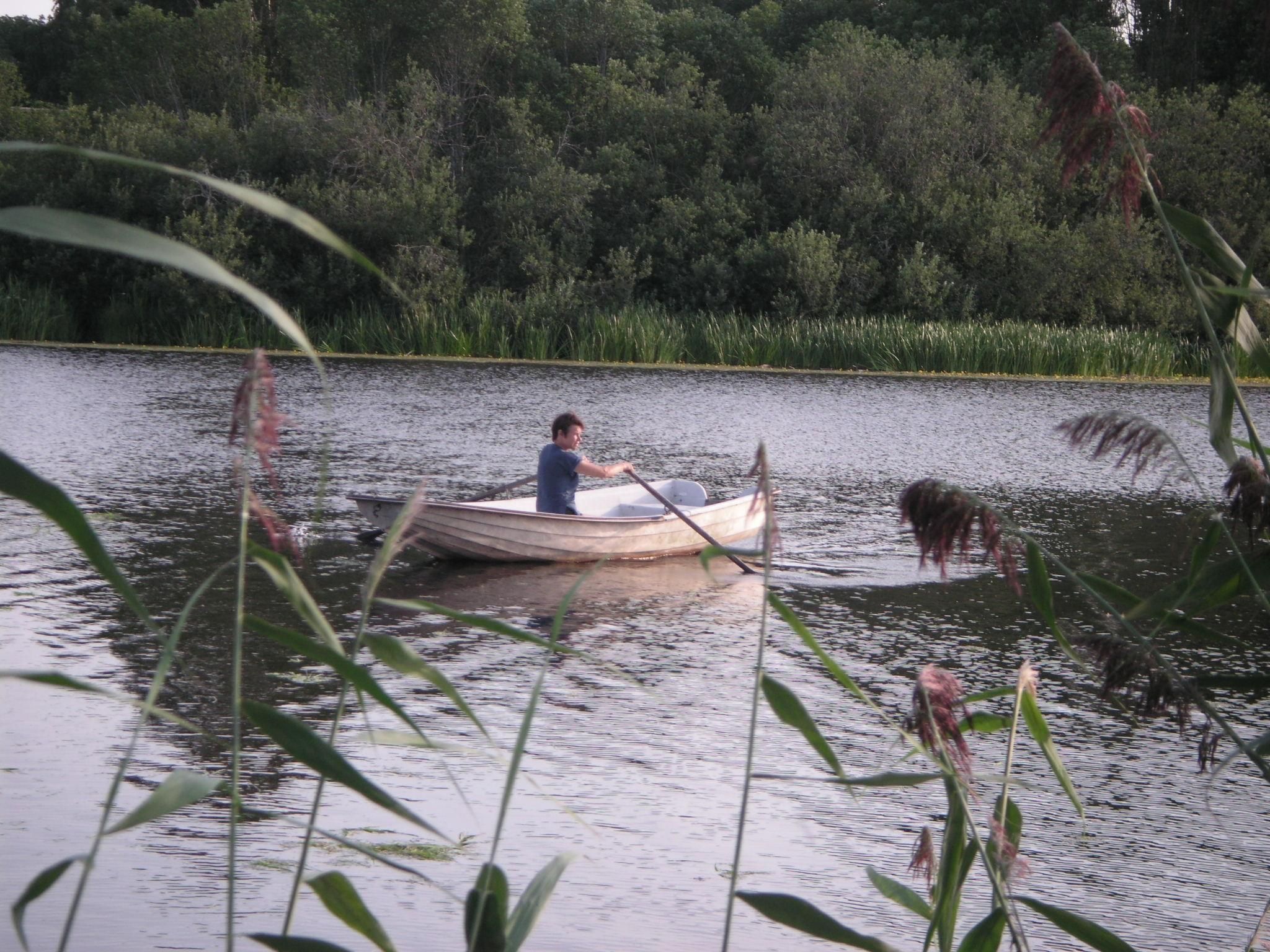 Gemütliches Haus inmitten herrlicher Natur-Image-tags.info