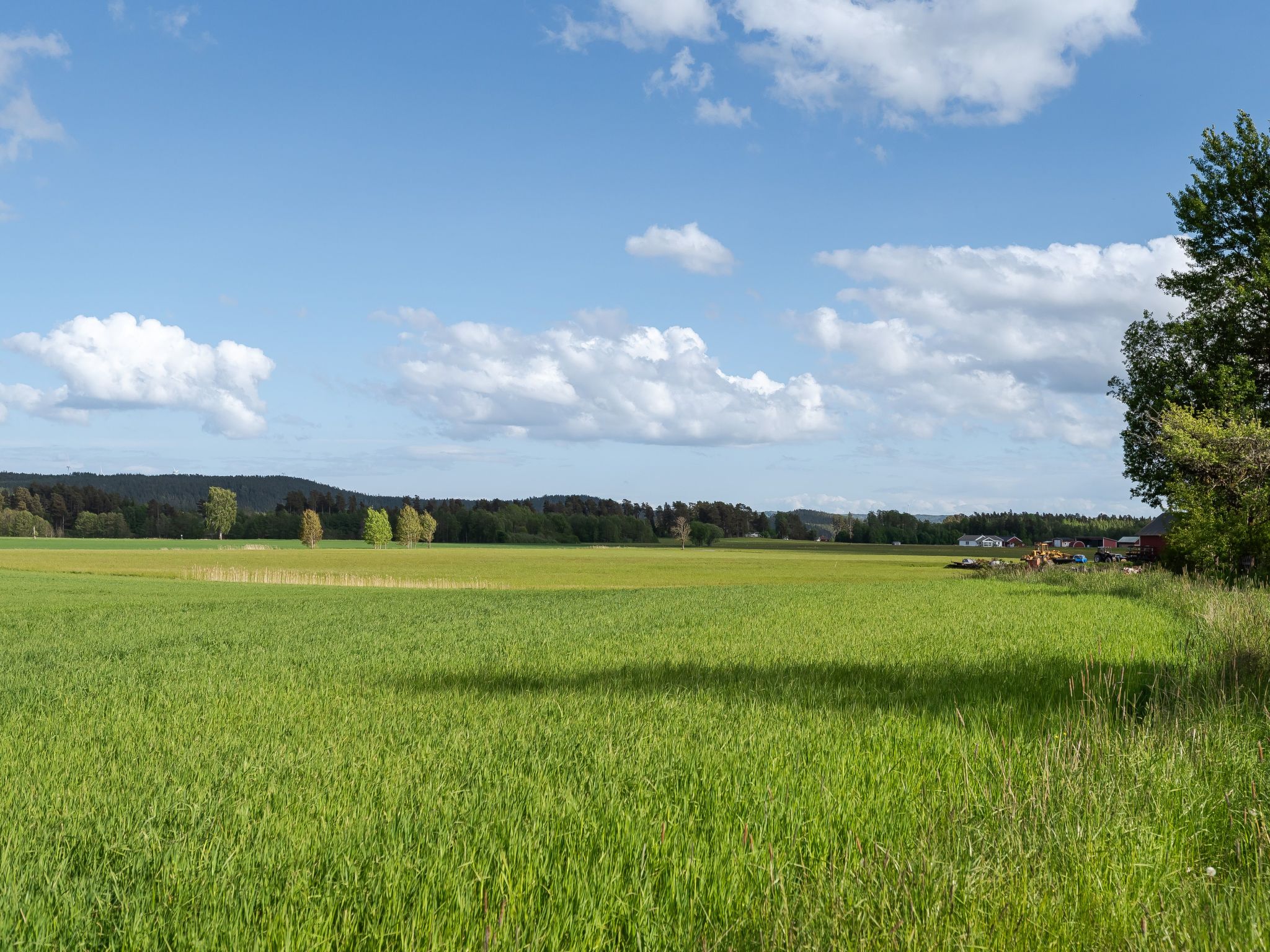 Harge Sörgård-Buiten