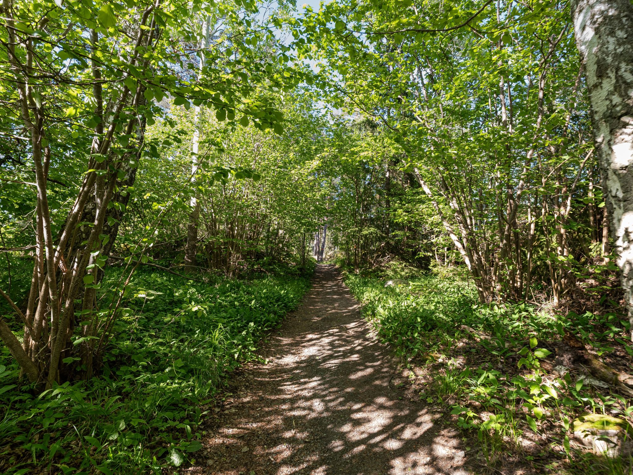 Harge Sörgård-Buiten