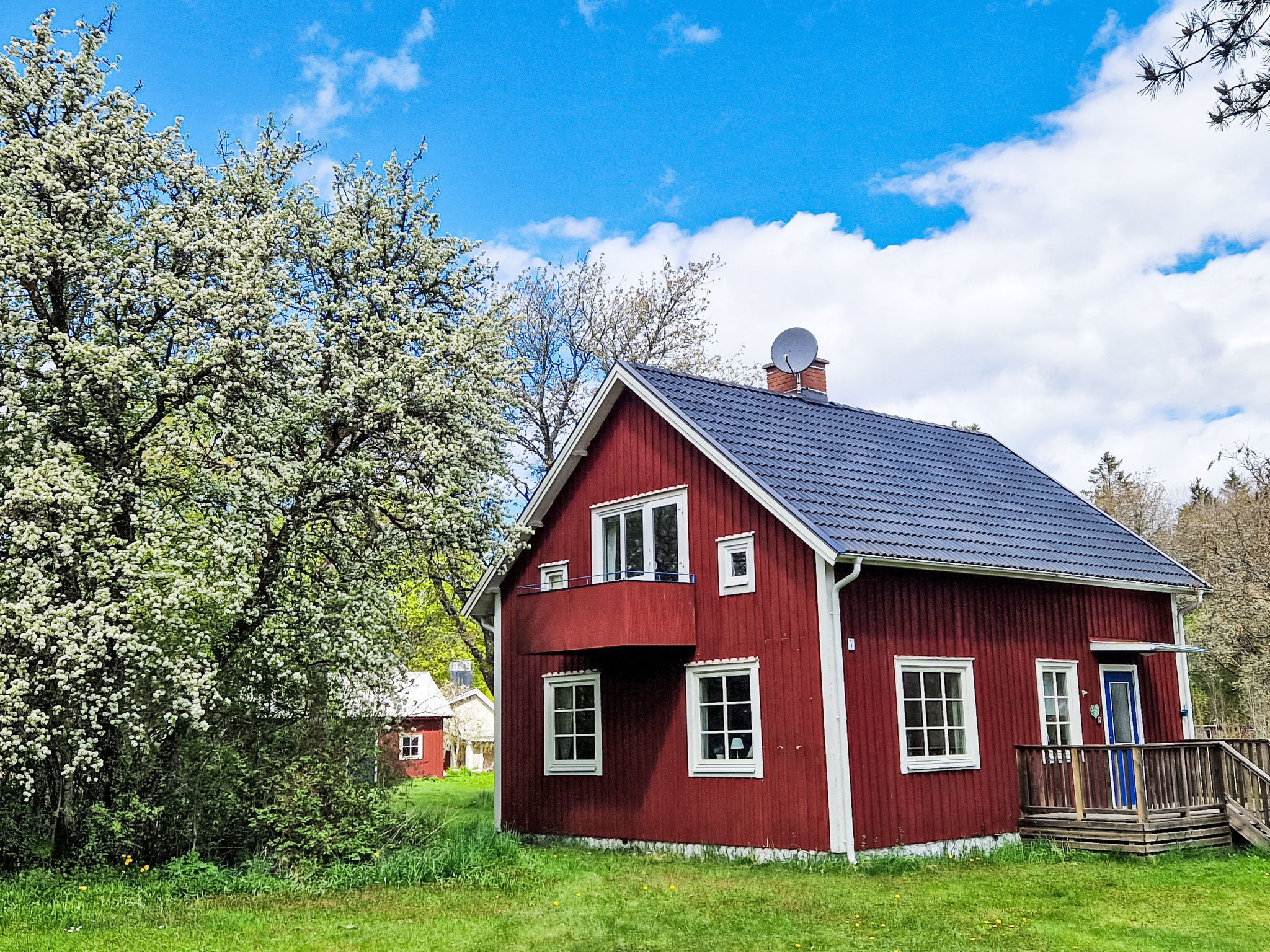 Särskilda