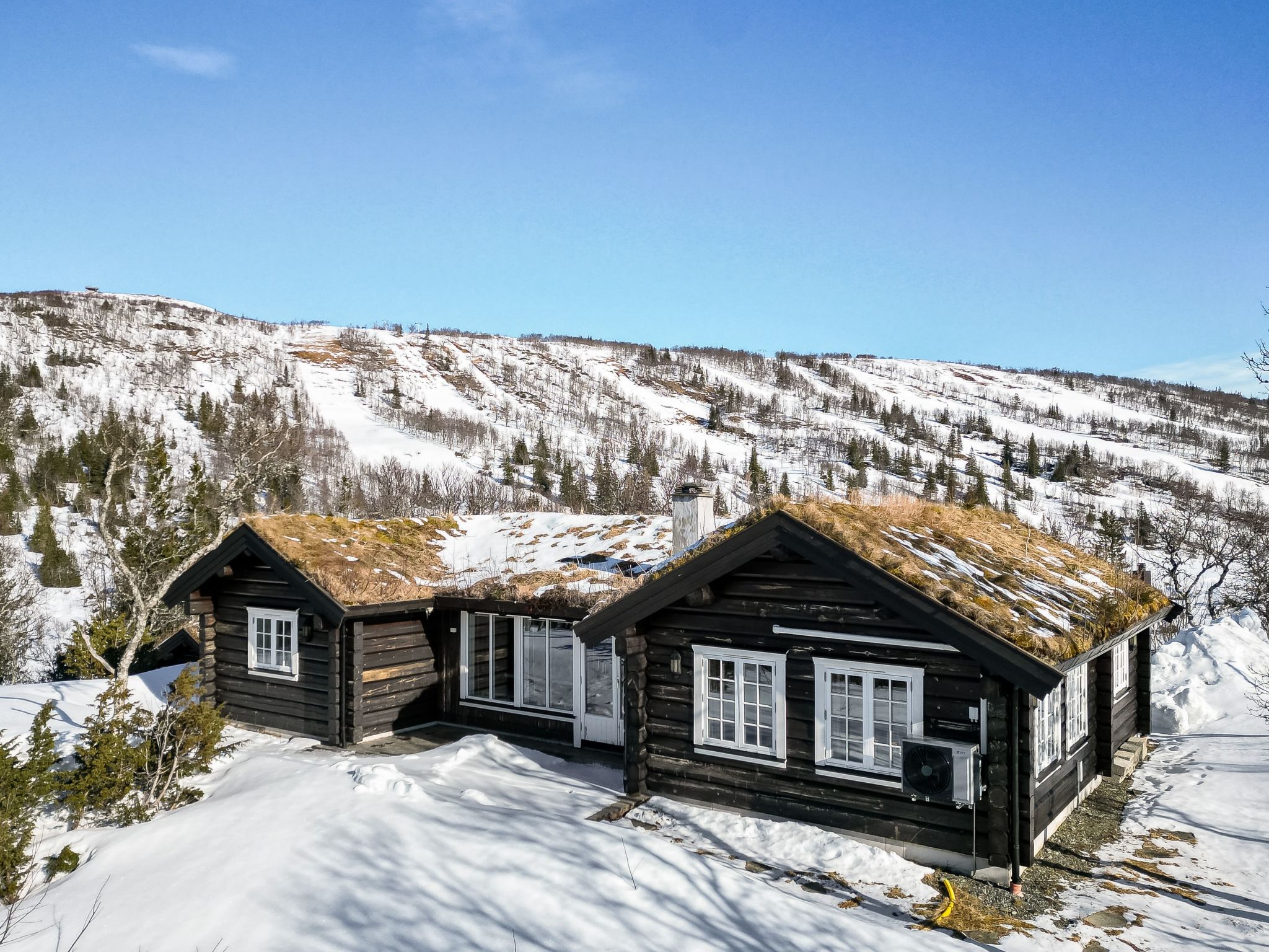 Fjälldrömmen