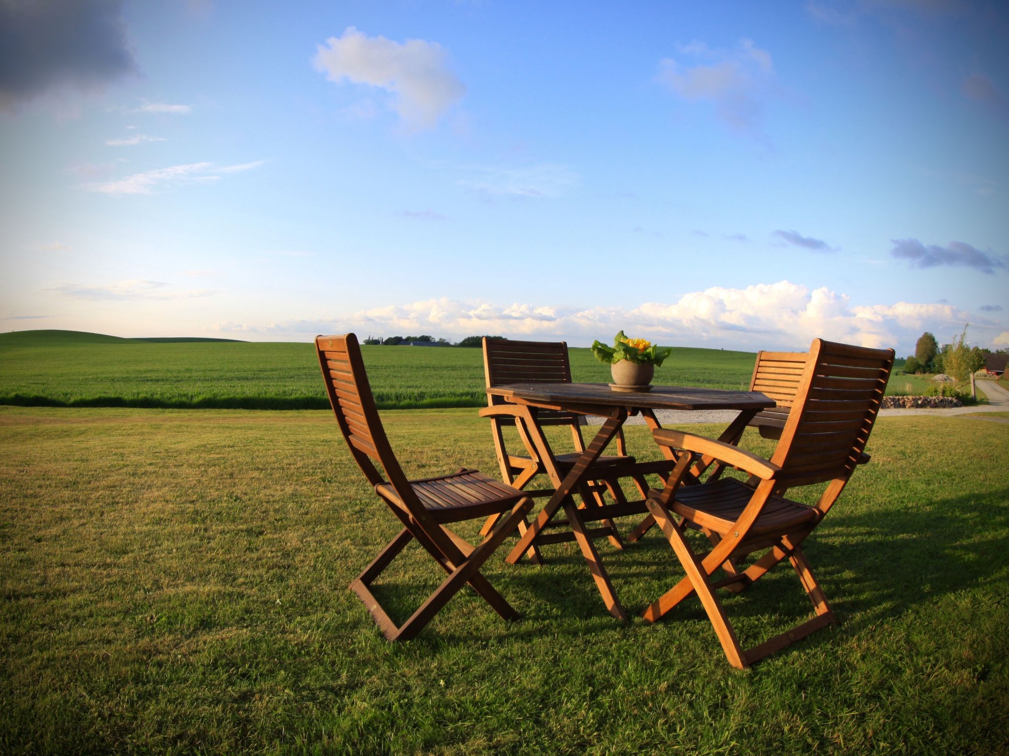 Fewo Albatross-Buiten