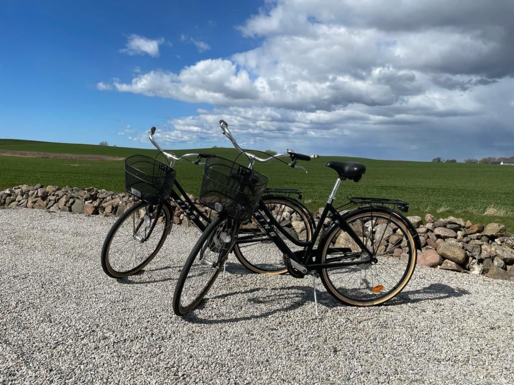 Fewo Albatross-Buiten