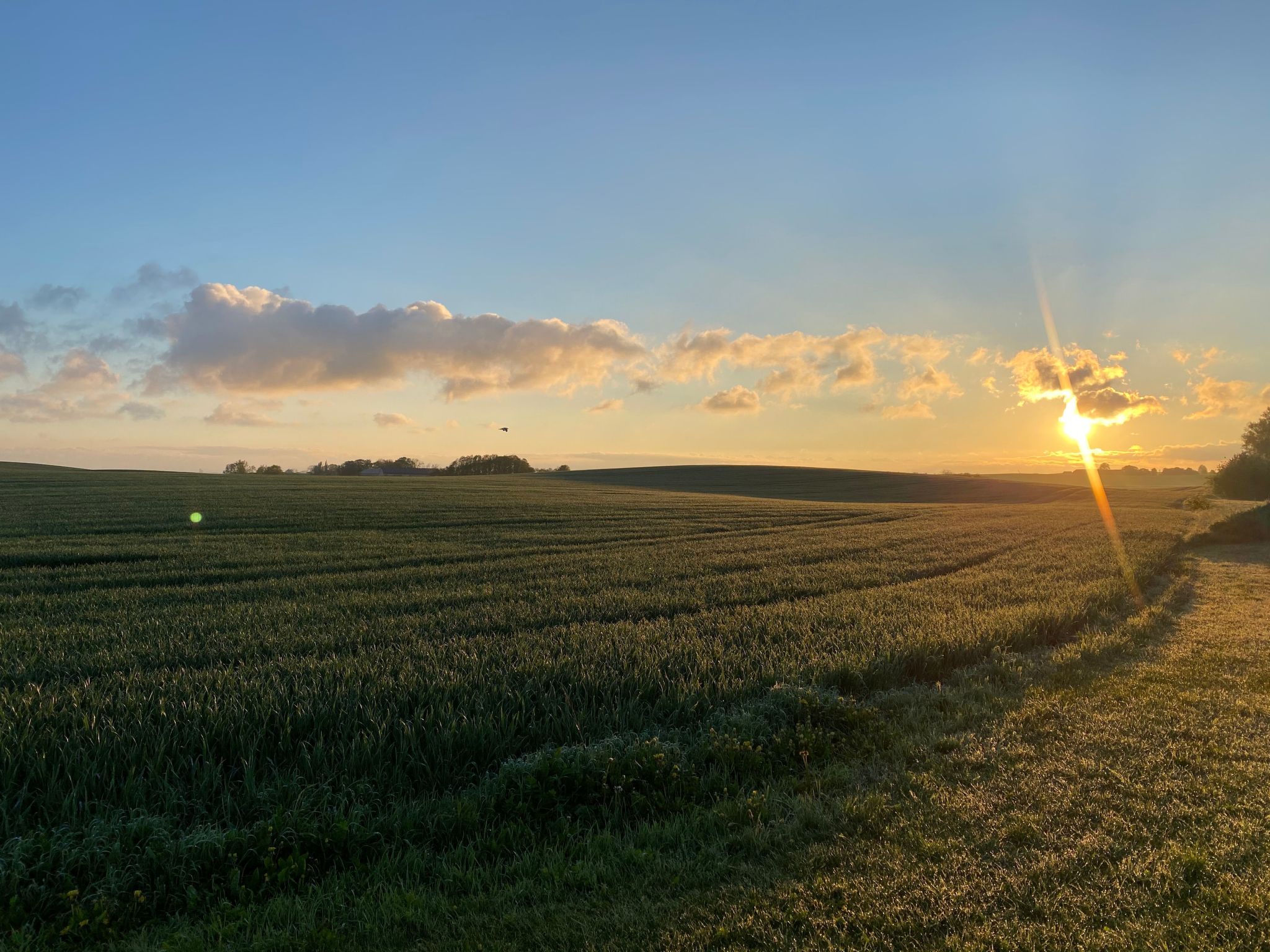 Fewo Albatross-Buiten