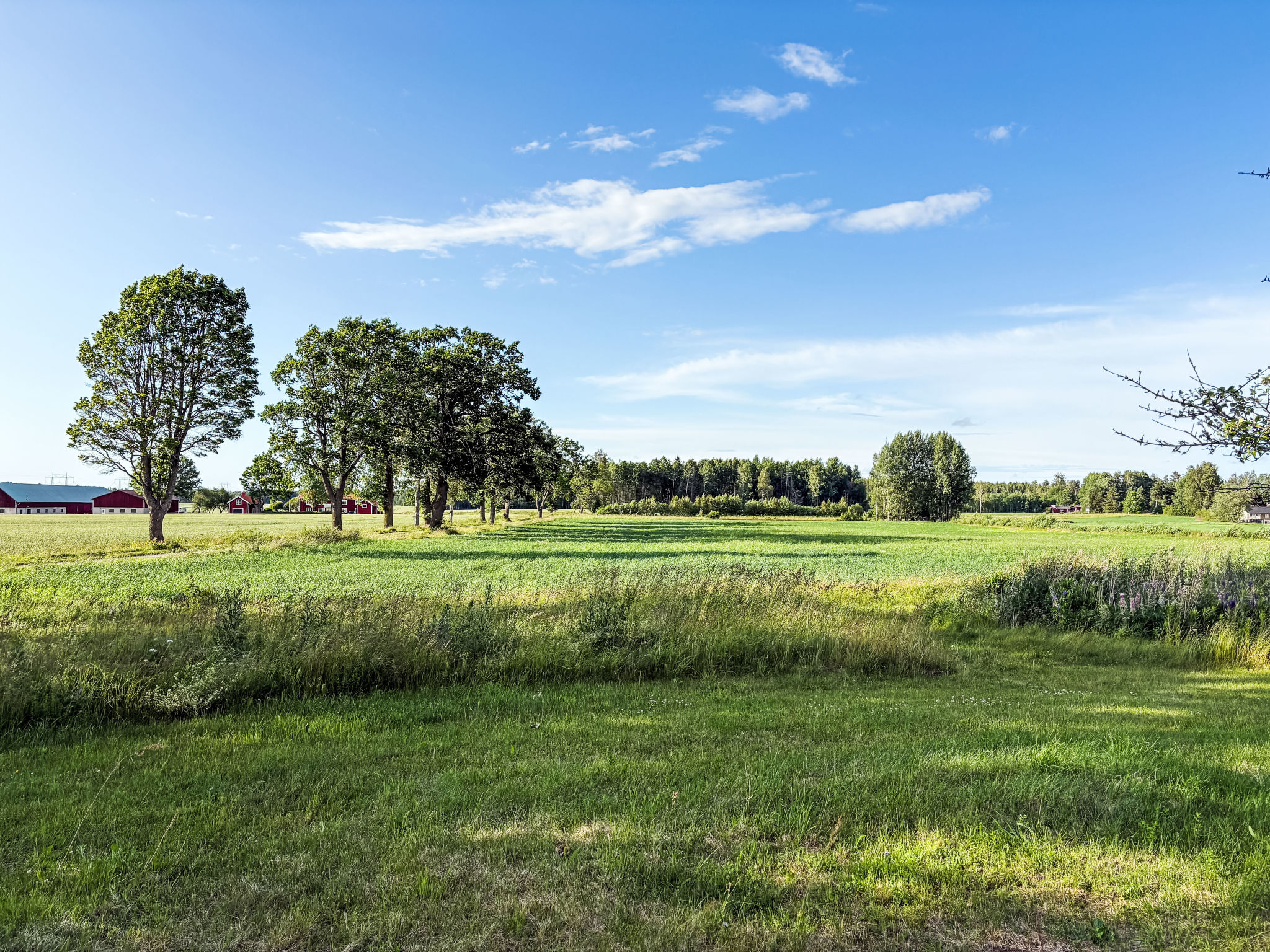 Skyberga Torp-Buiten