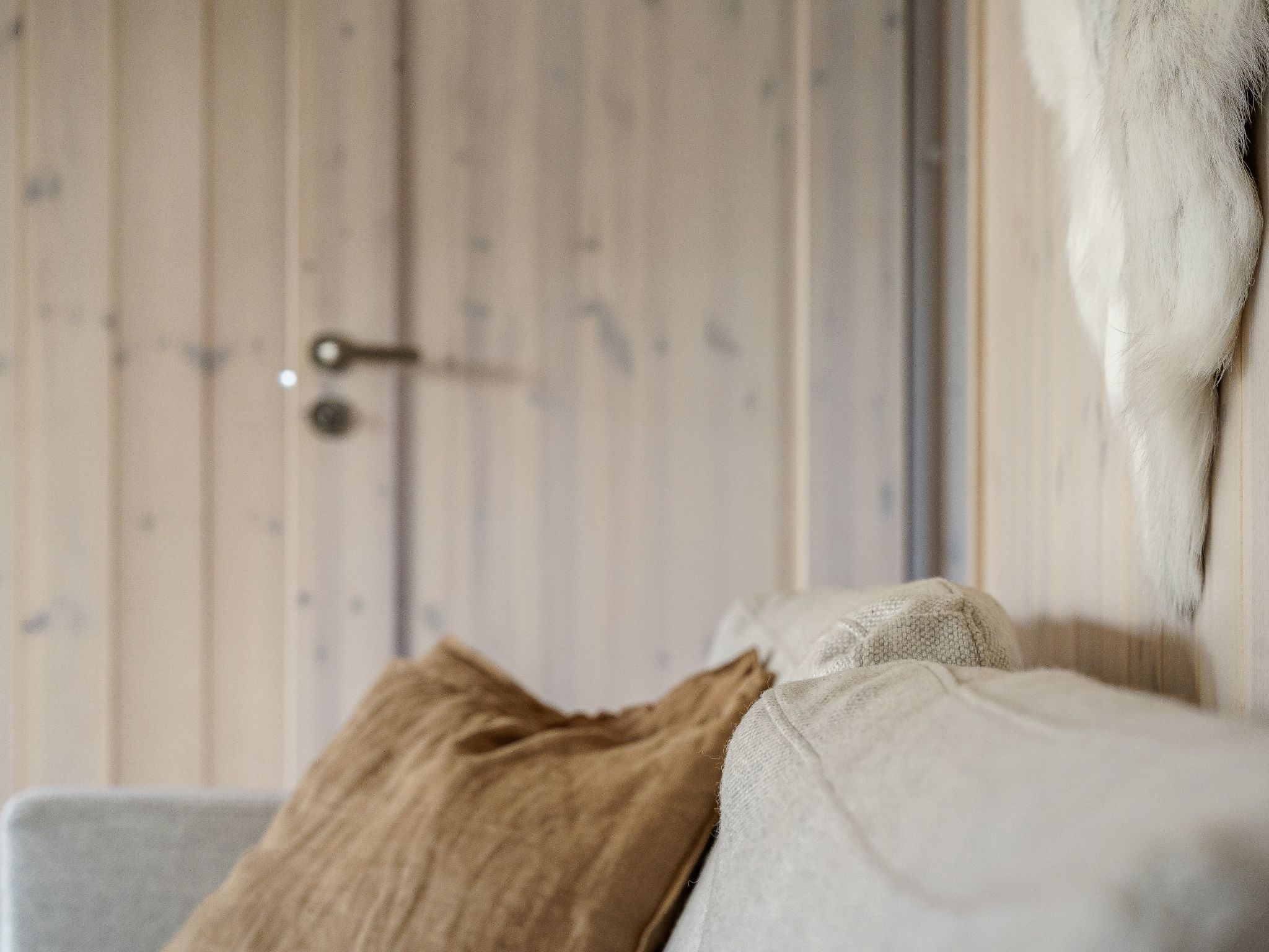 Renstråket 1003-Binnen