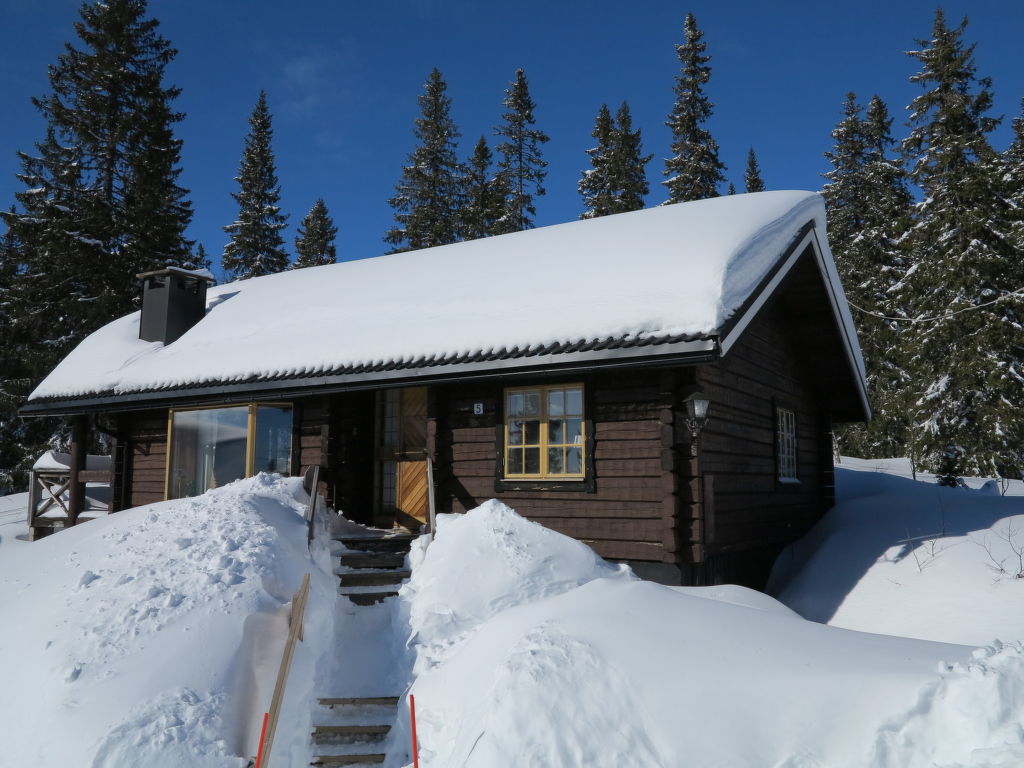Interhome Korpstigen Älgen