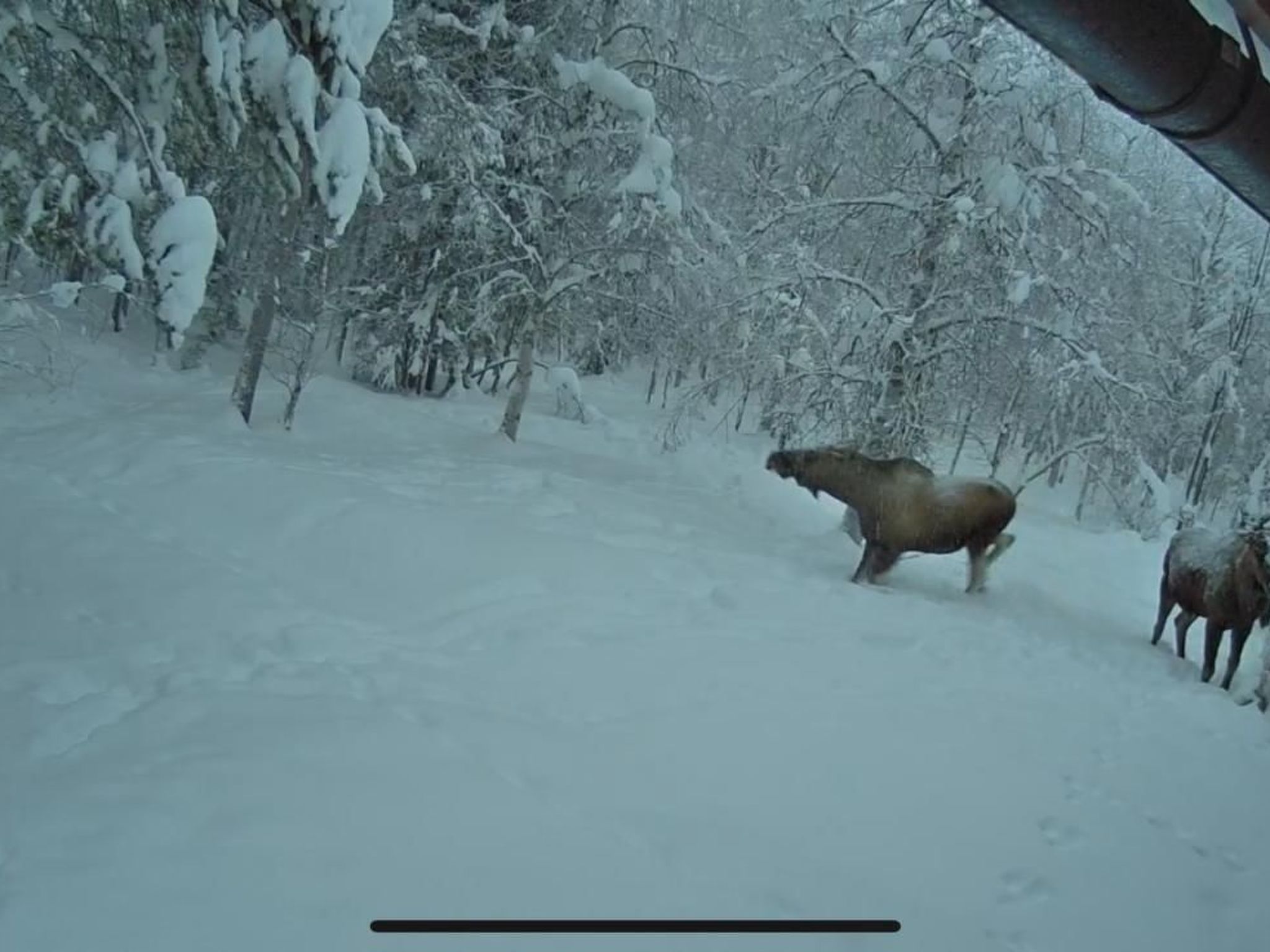 Zu vermieten in der Nähe von Jokkmokk-Binnen