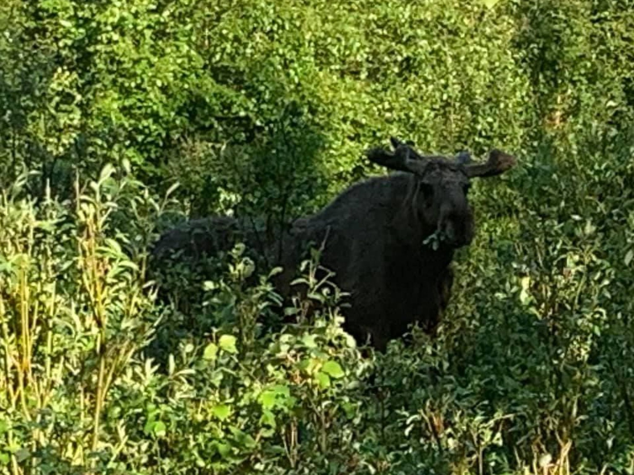 Zu vermieten in der Nähe von Jokkmokk-Binnen