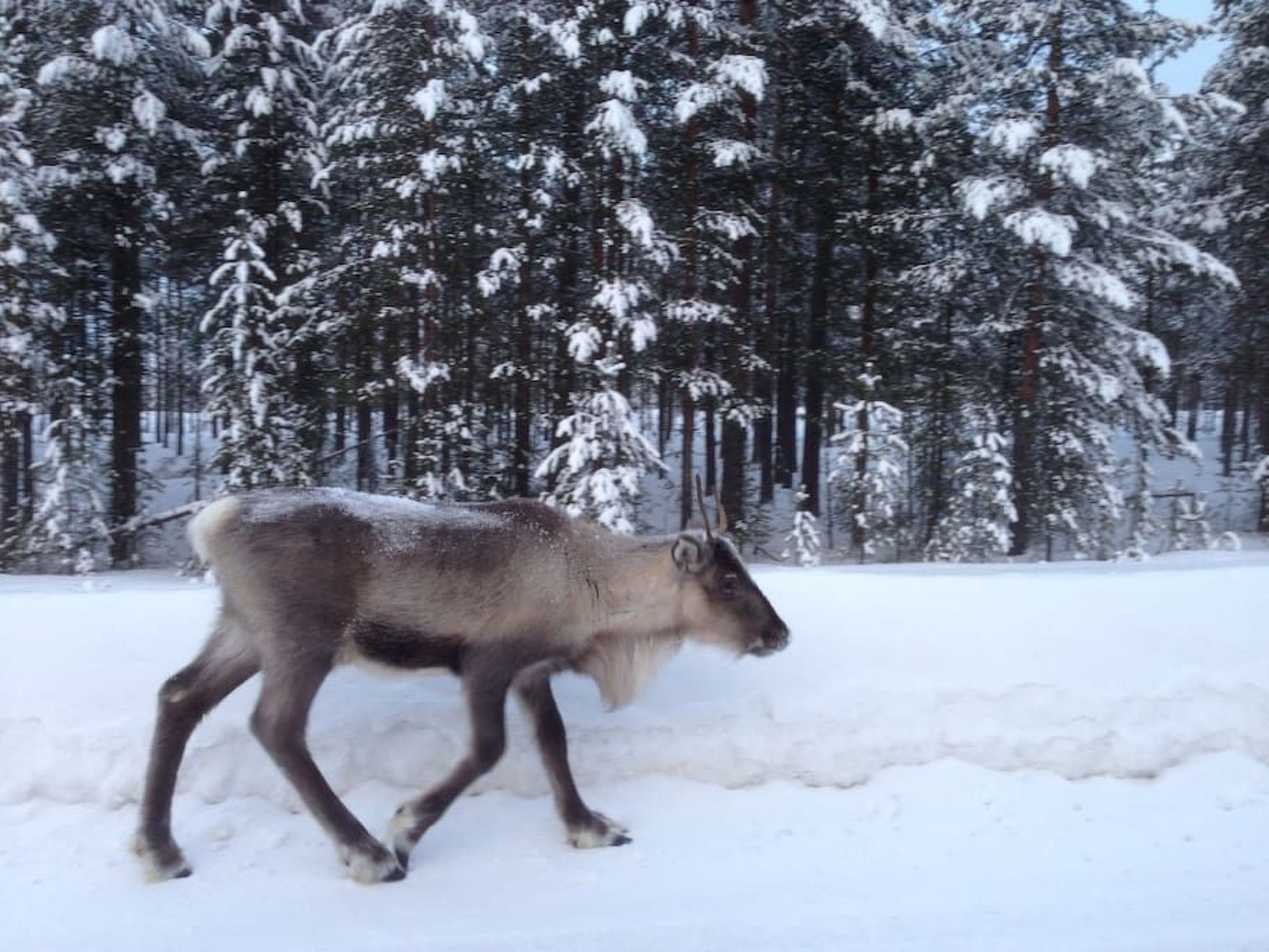 Mit Garten, Grill und Terrasse-Buiten