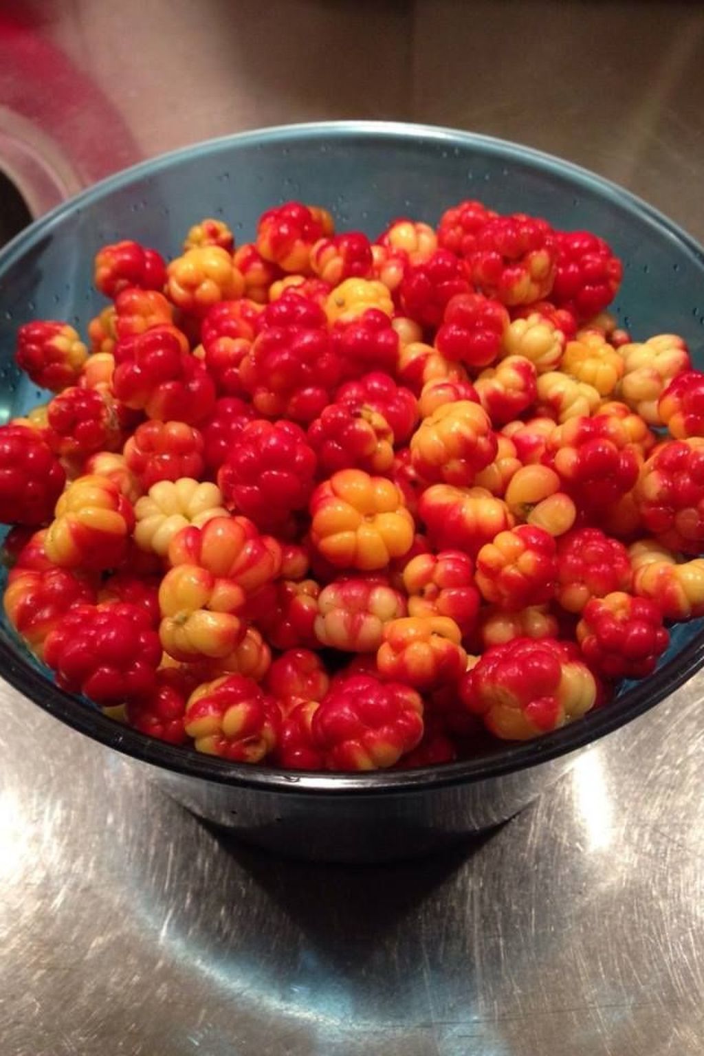 Mit Garten, Grill und Terrasse-Binnen