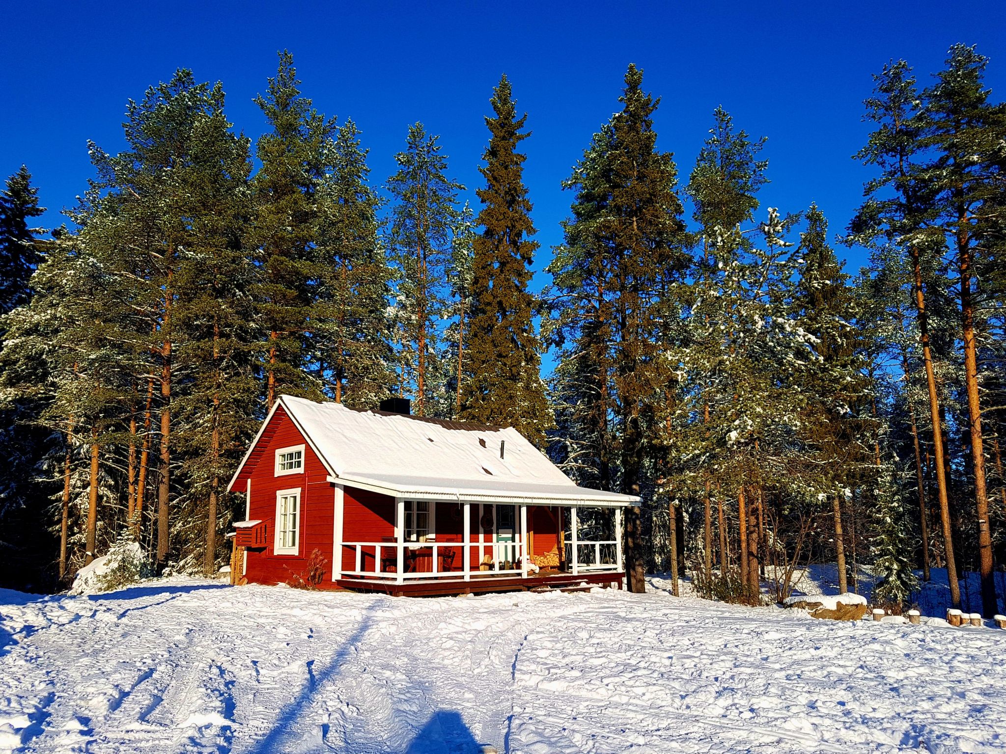 Charmantes Ferienhaus in der Wildnis Lapplands-Binnen