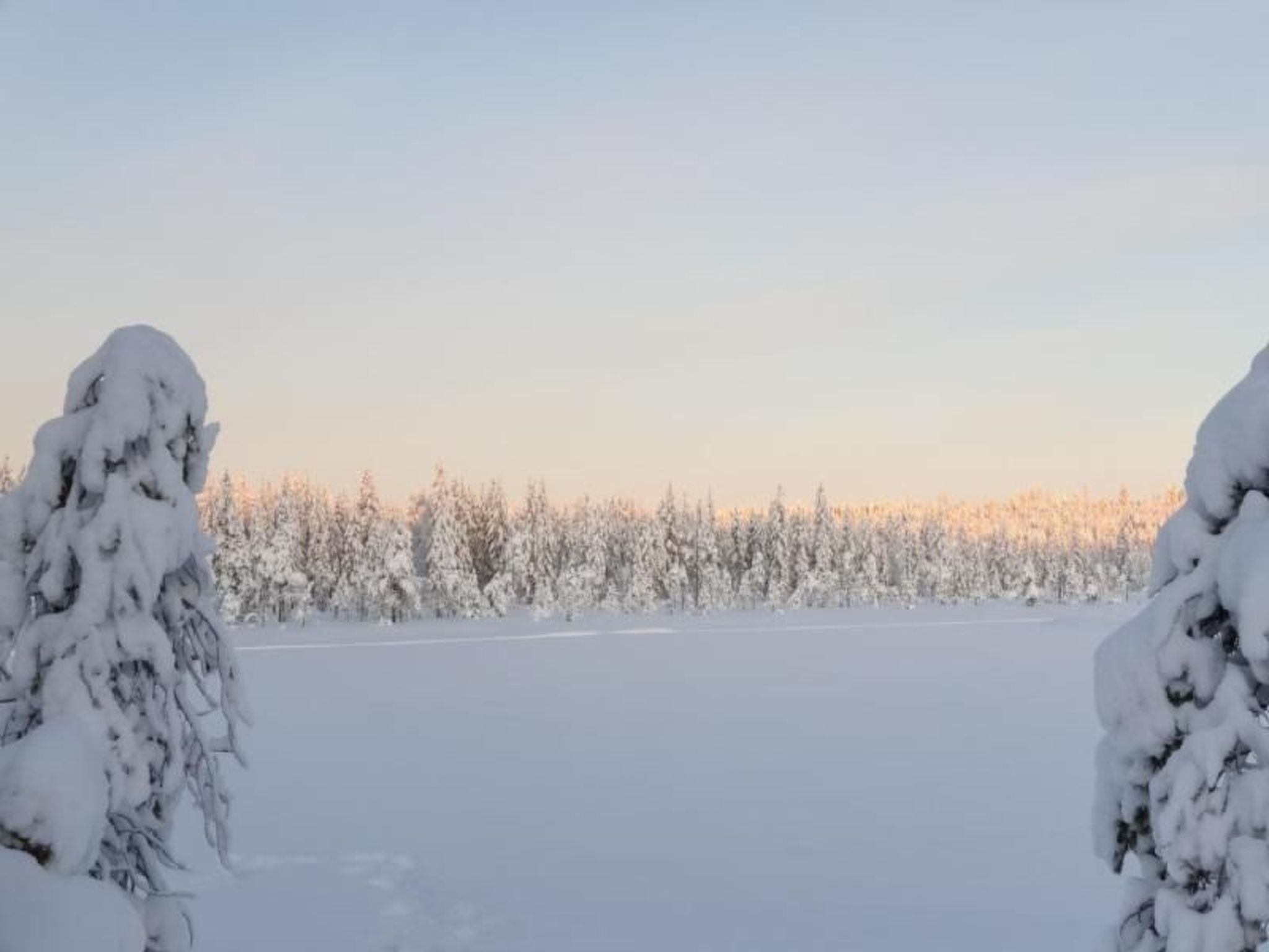 Gemütliches Ferienhaus in der Wildnis Lapplands-Binnen