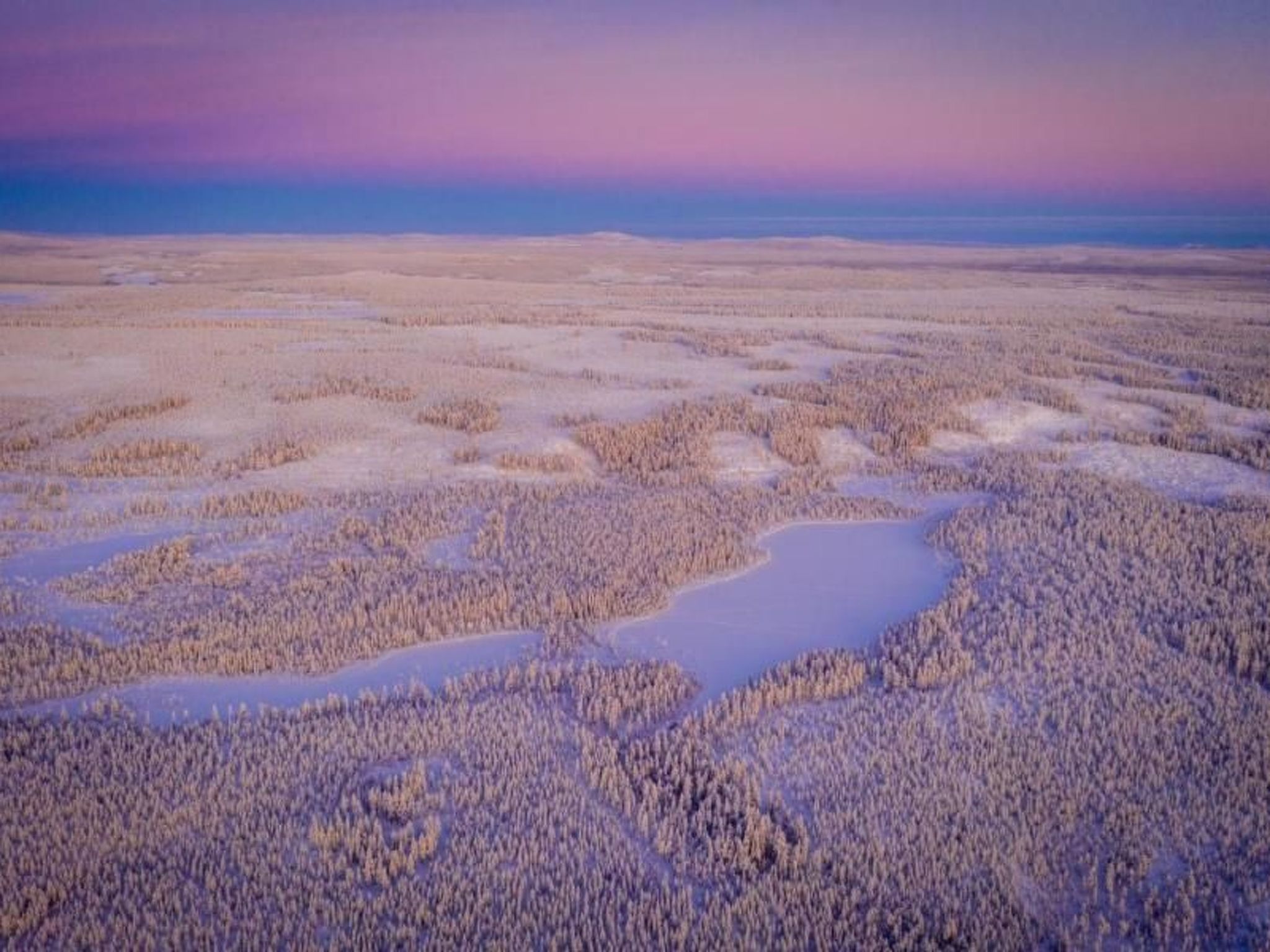 Gemütliches Ferienhaus in der Wildnis Lapplands-Binnen