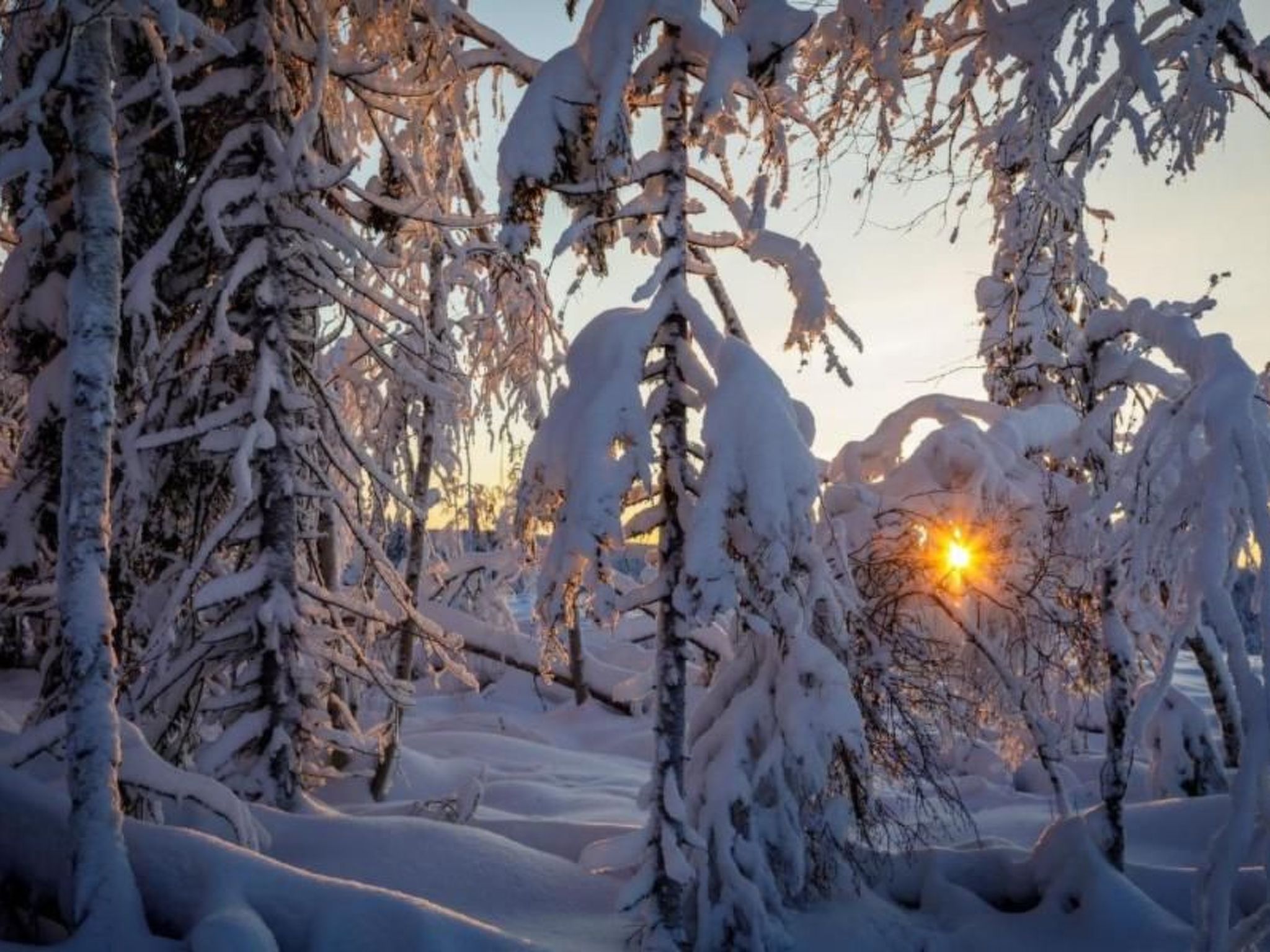 Gemütliches Ferienhaus in der Wildnis Lapplands-Binnen