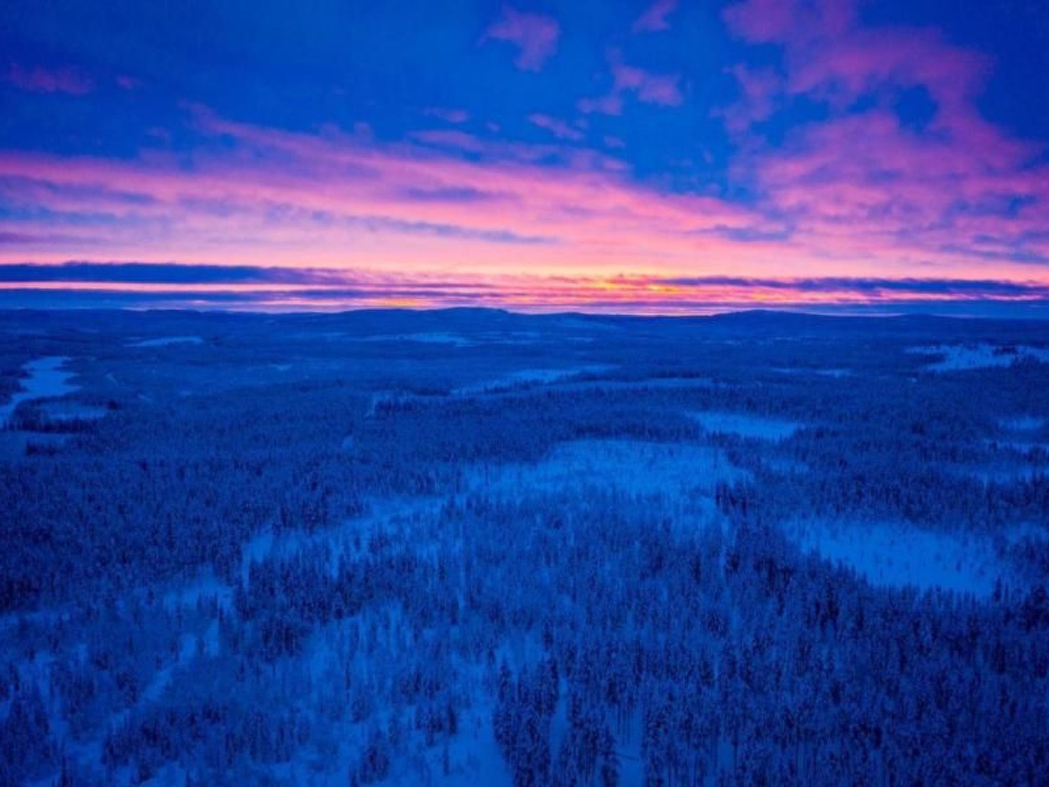 Gemütliches Ferienhaus in der Wildnis Lapplands-Binnen