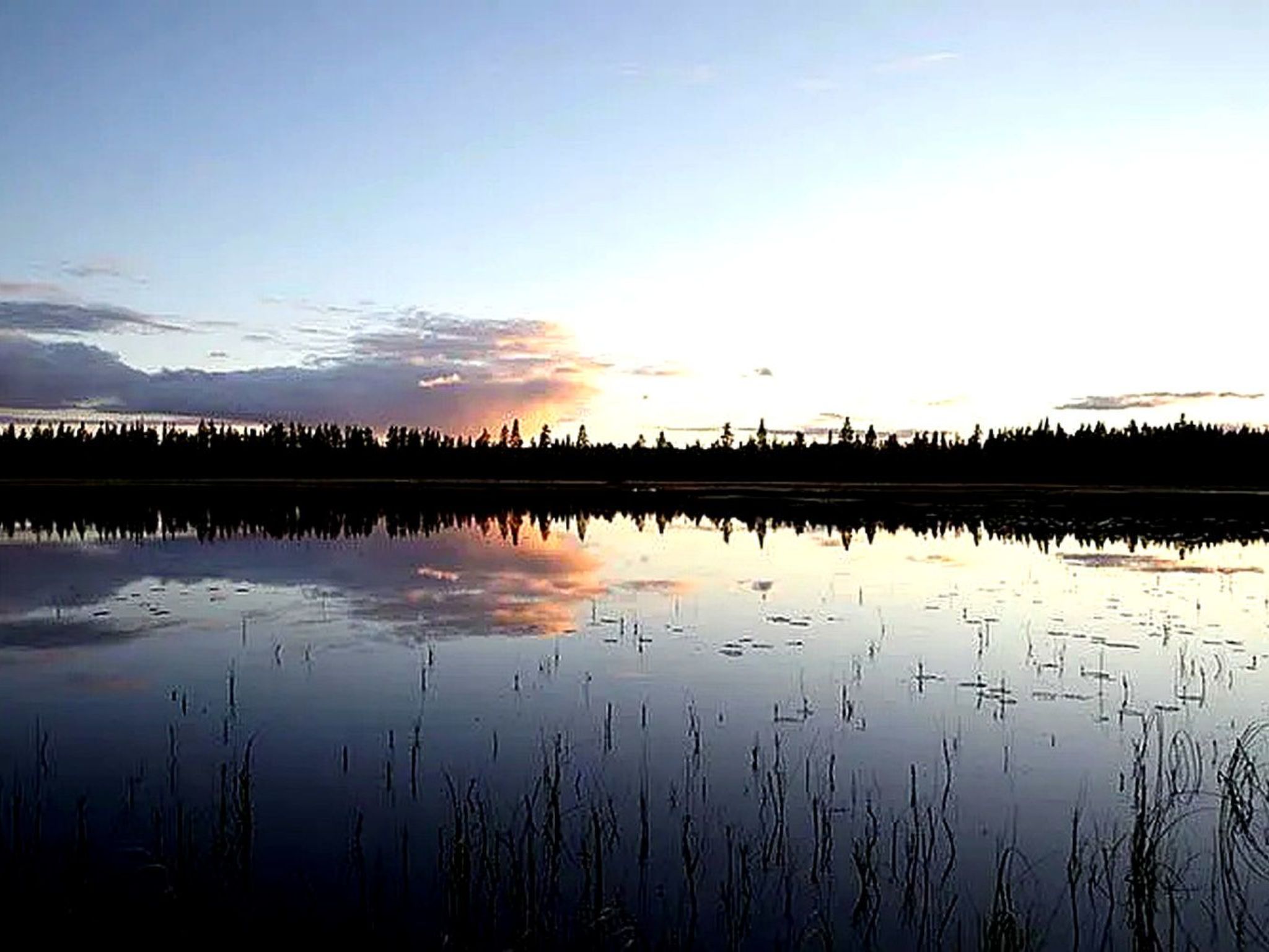 Am Wald mit Kaminofen und Veranda-Binnen